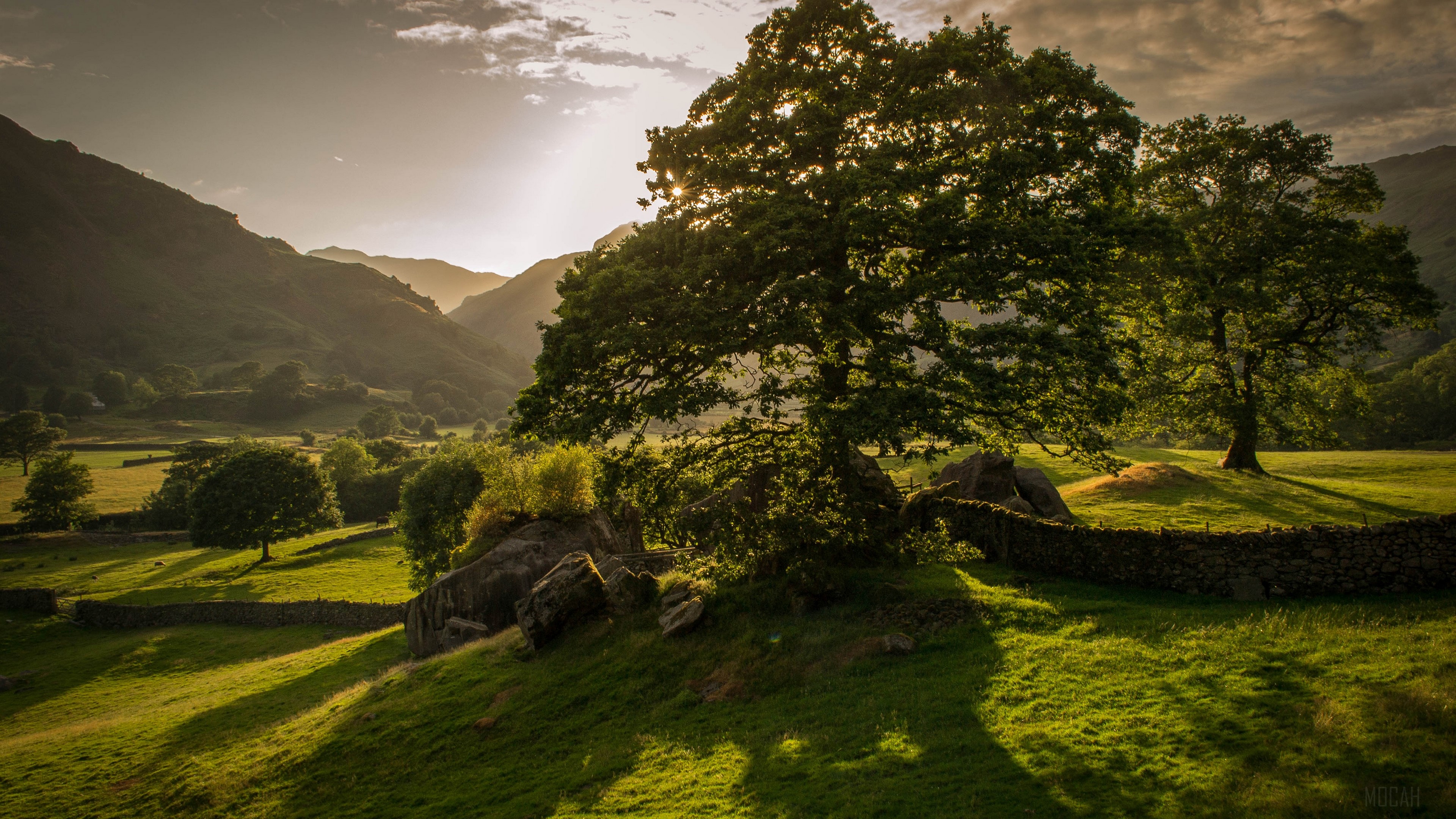 Sunset over a valley with trees and mountains 4K HD Wallpaper