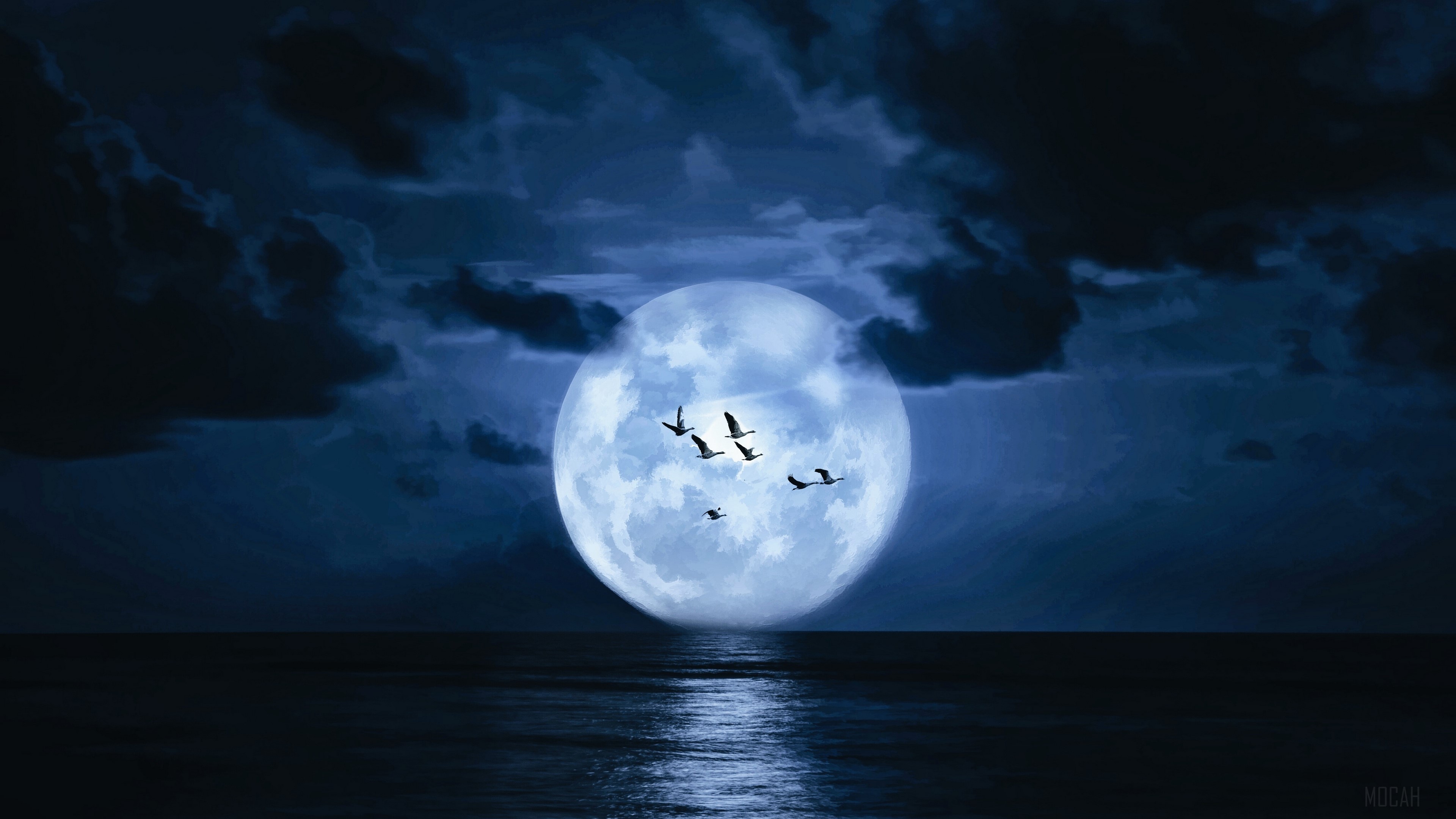 Birds flying in front of a full moon over the ocean HD Wallpaper