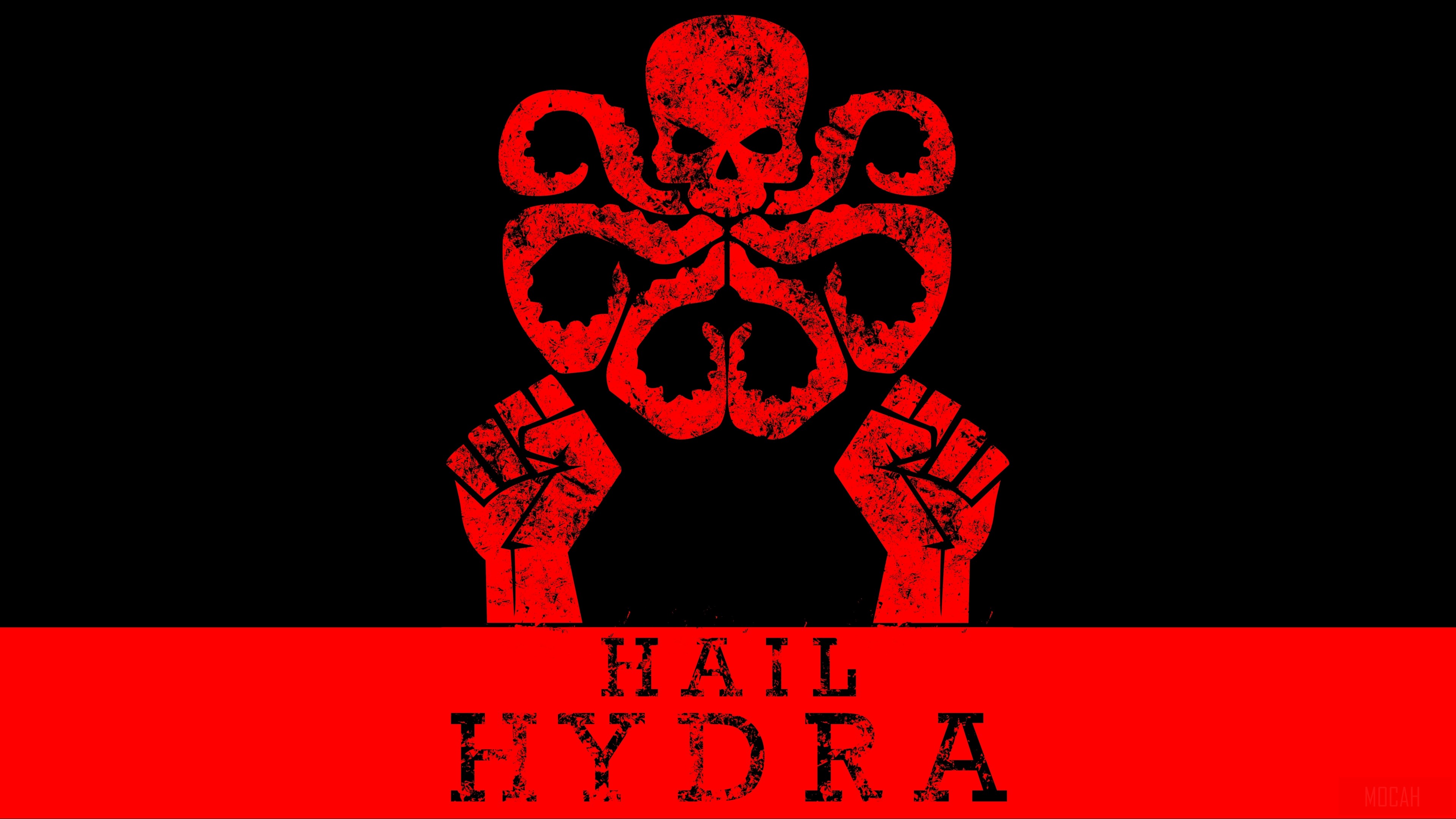 Hail Hydra Logo HD Wallpaper