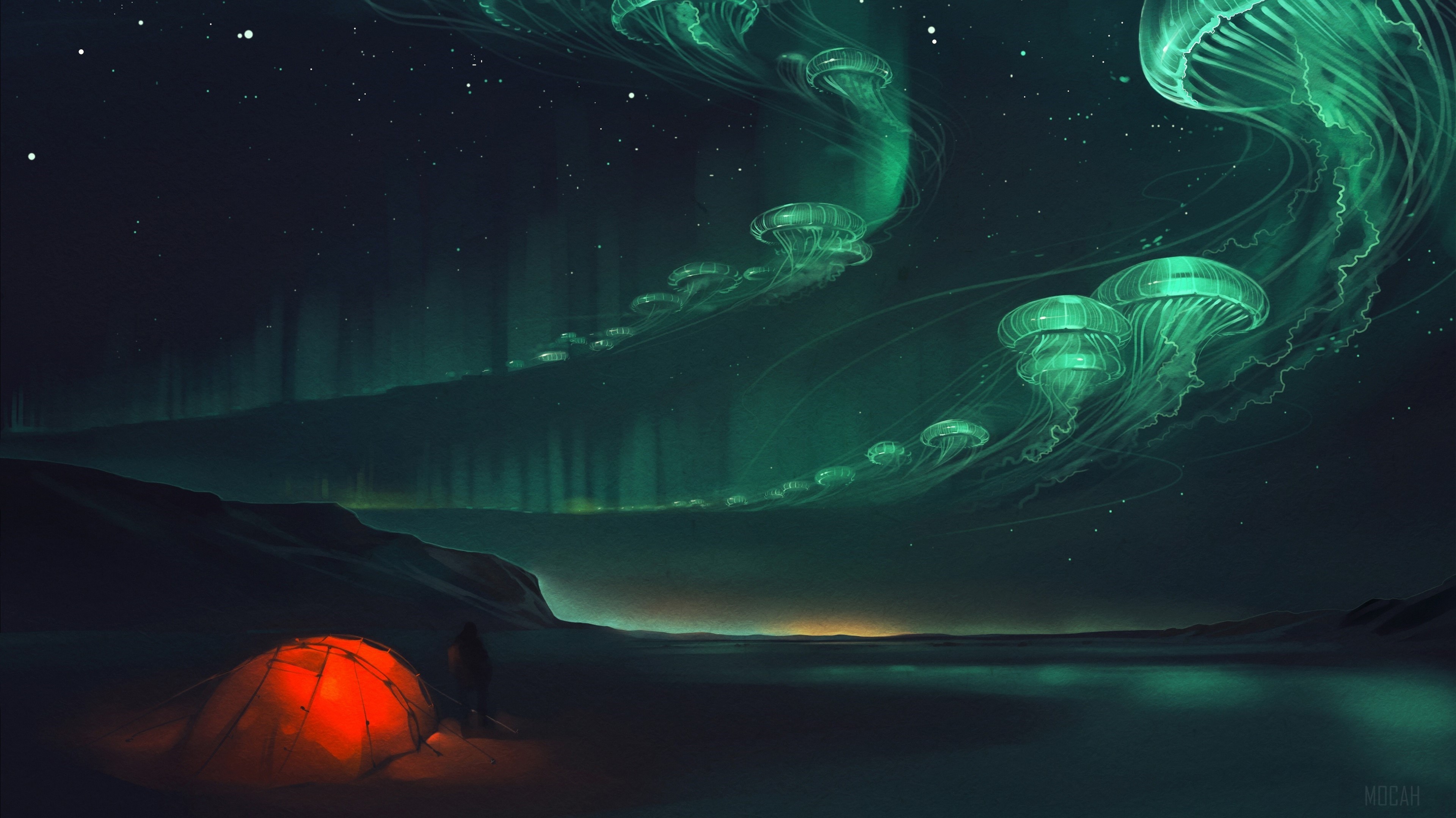 Aurora Borealis with Jellyfish and Tent HD Wallpaper