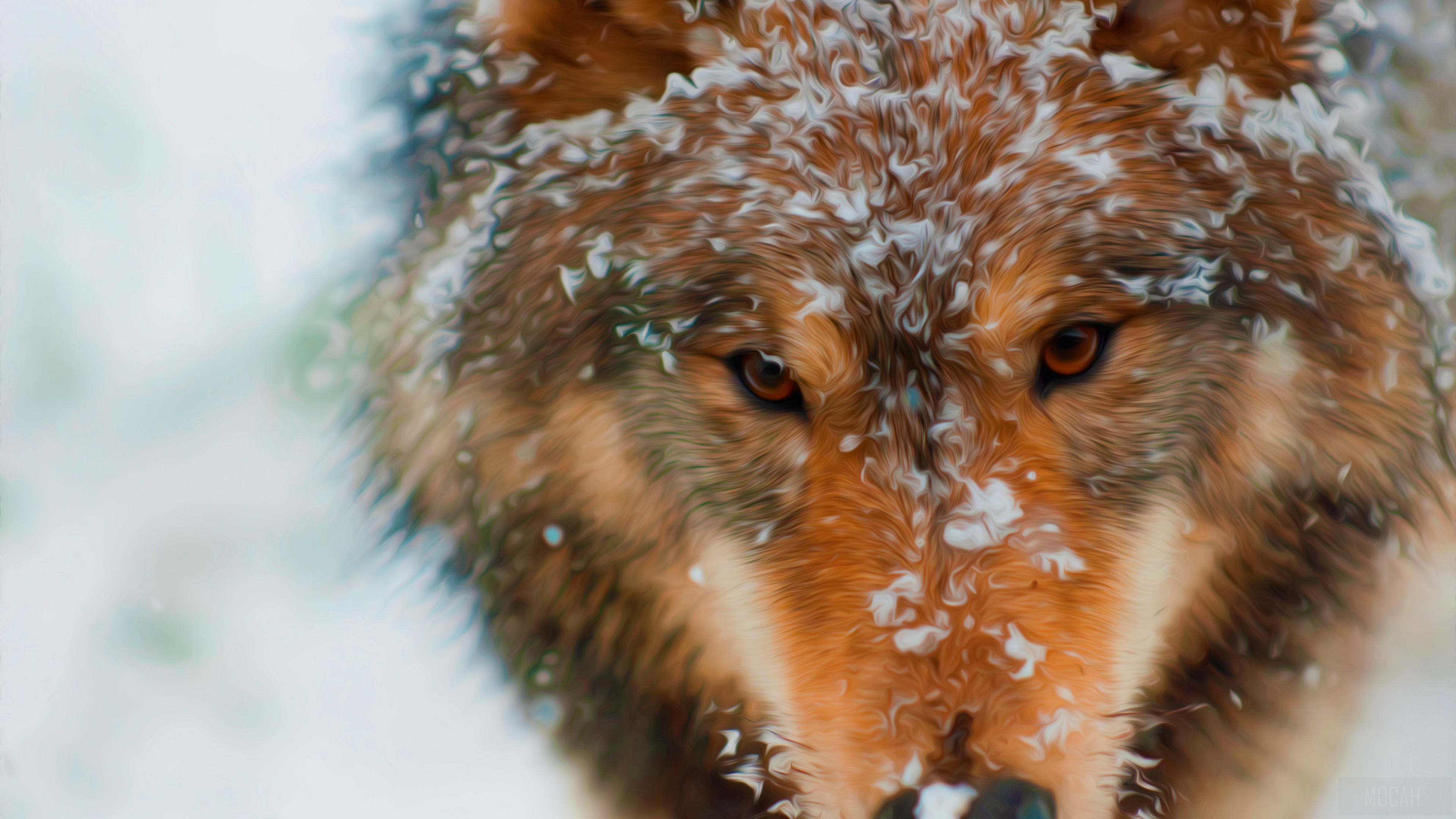 Oil Painting 4K Wolf Portrait HD Wallpaper
