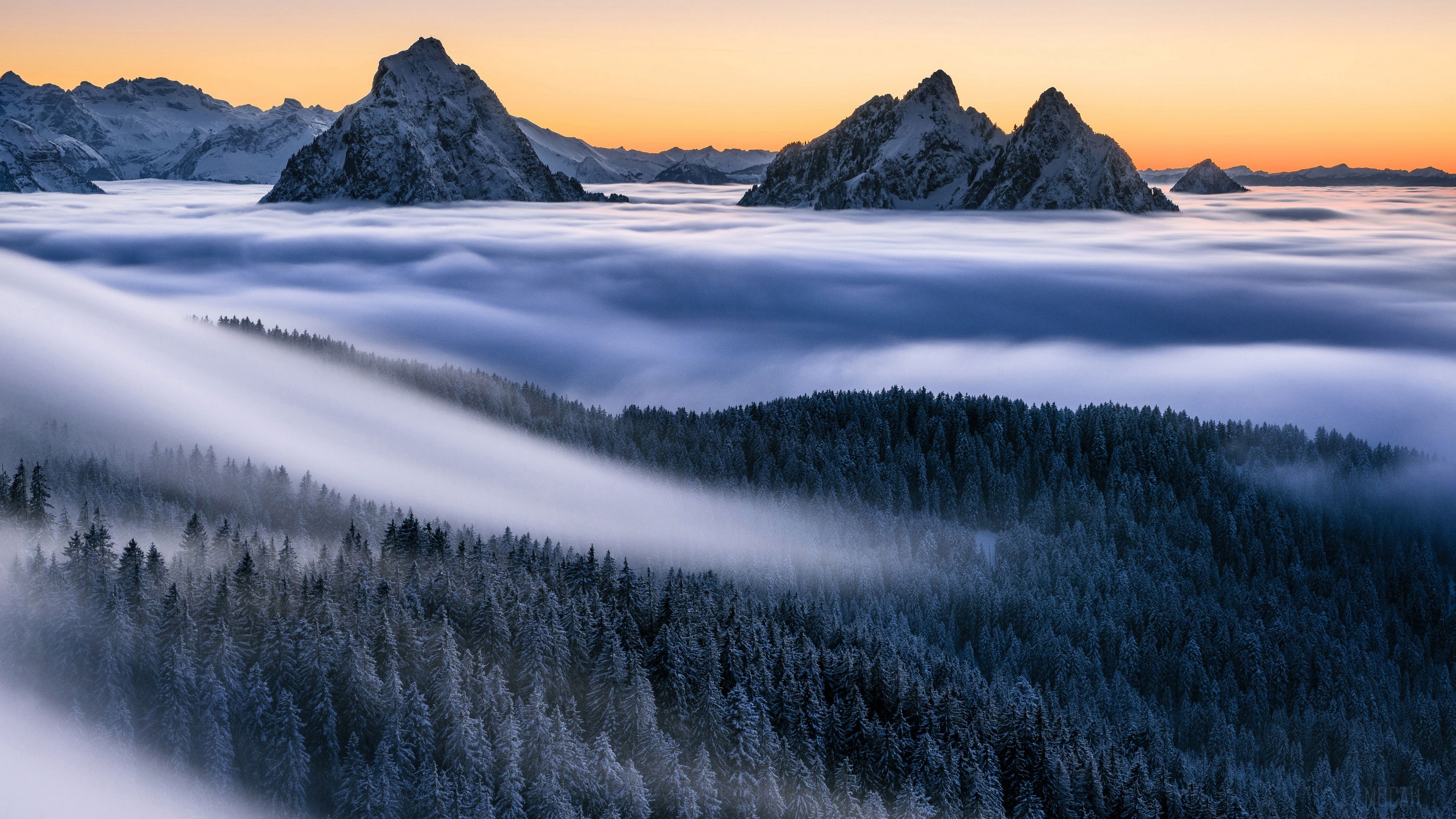 Mountain peaks above fog and forest at sunrise HD Wallpaper