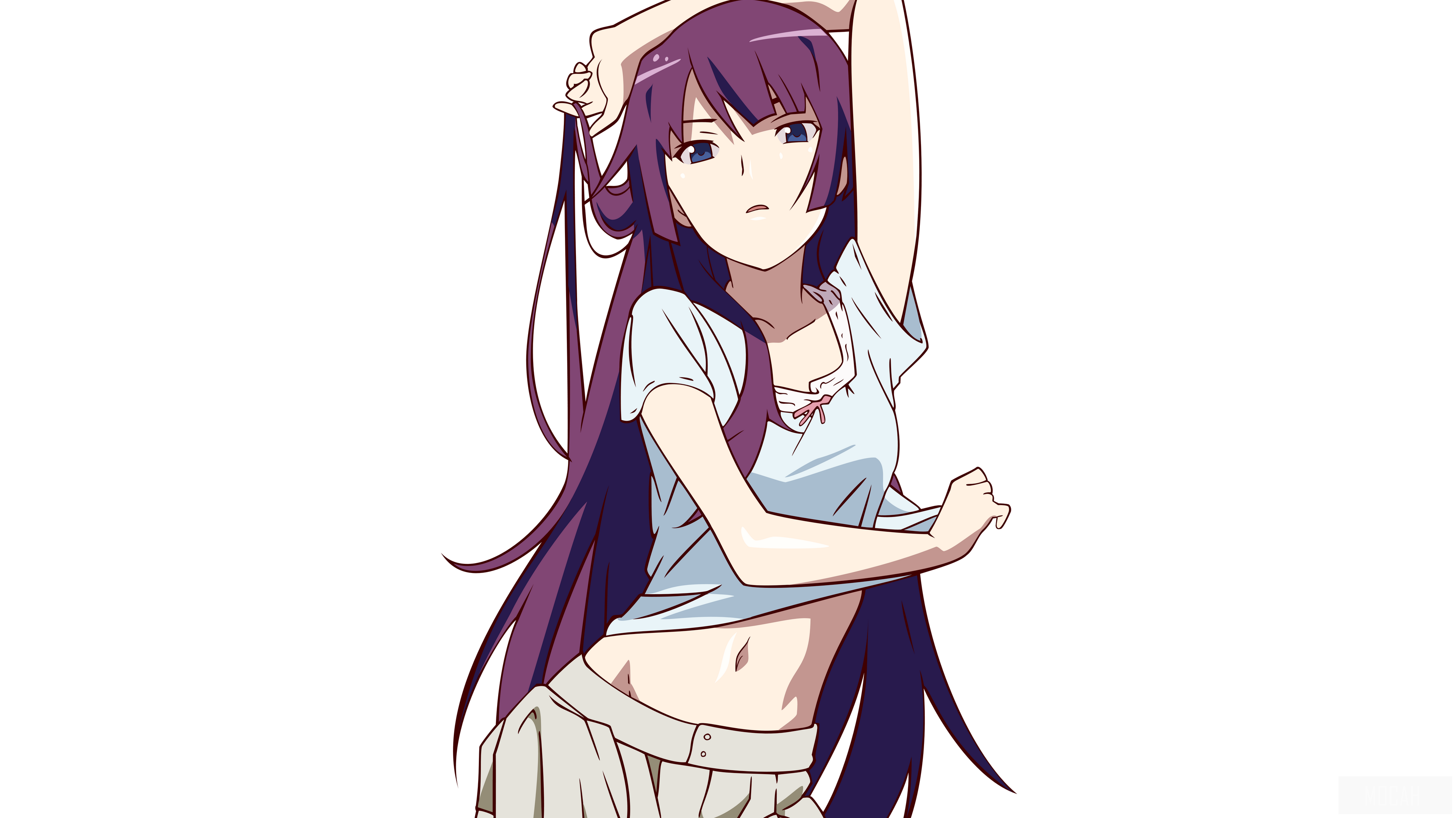 Hitagi Senjōgahara from Monogatari Series HD Wallpaper