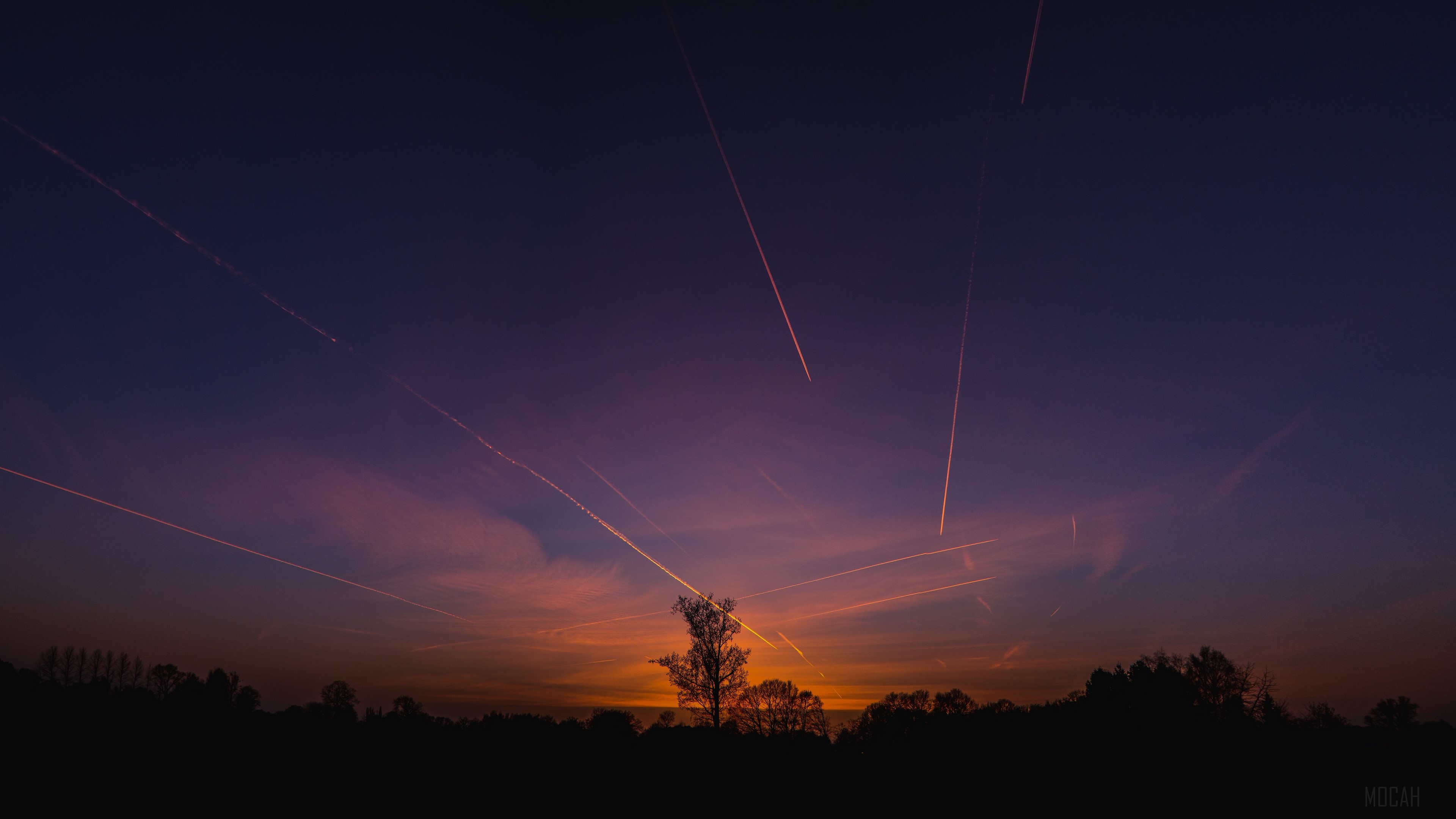 Sunset Sky with Airplane Trails and Silhouetted Trees 4K HD Wallpaper