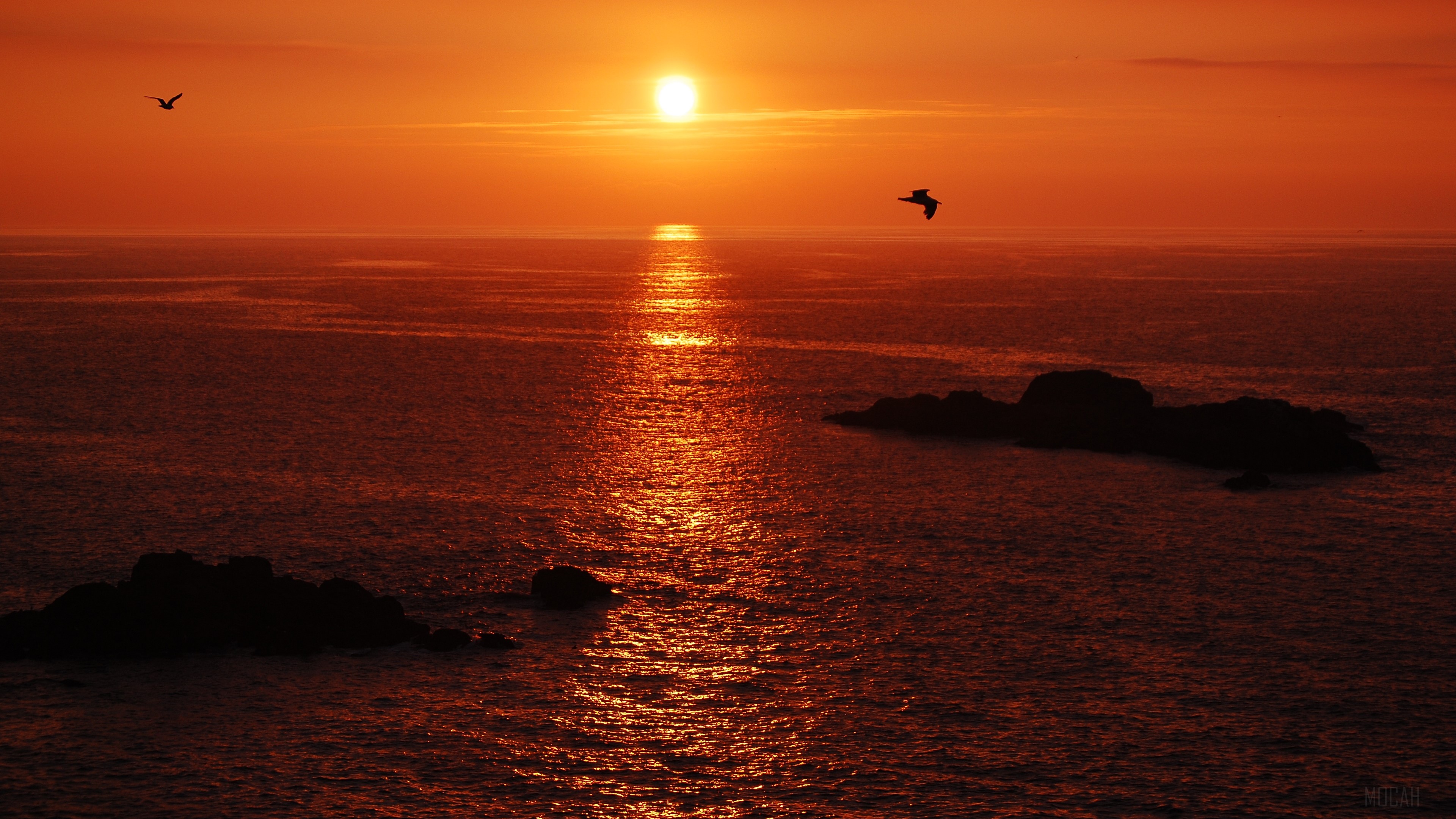 Sunset over the ocean with birds and rocks HD Wallpaper