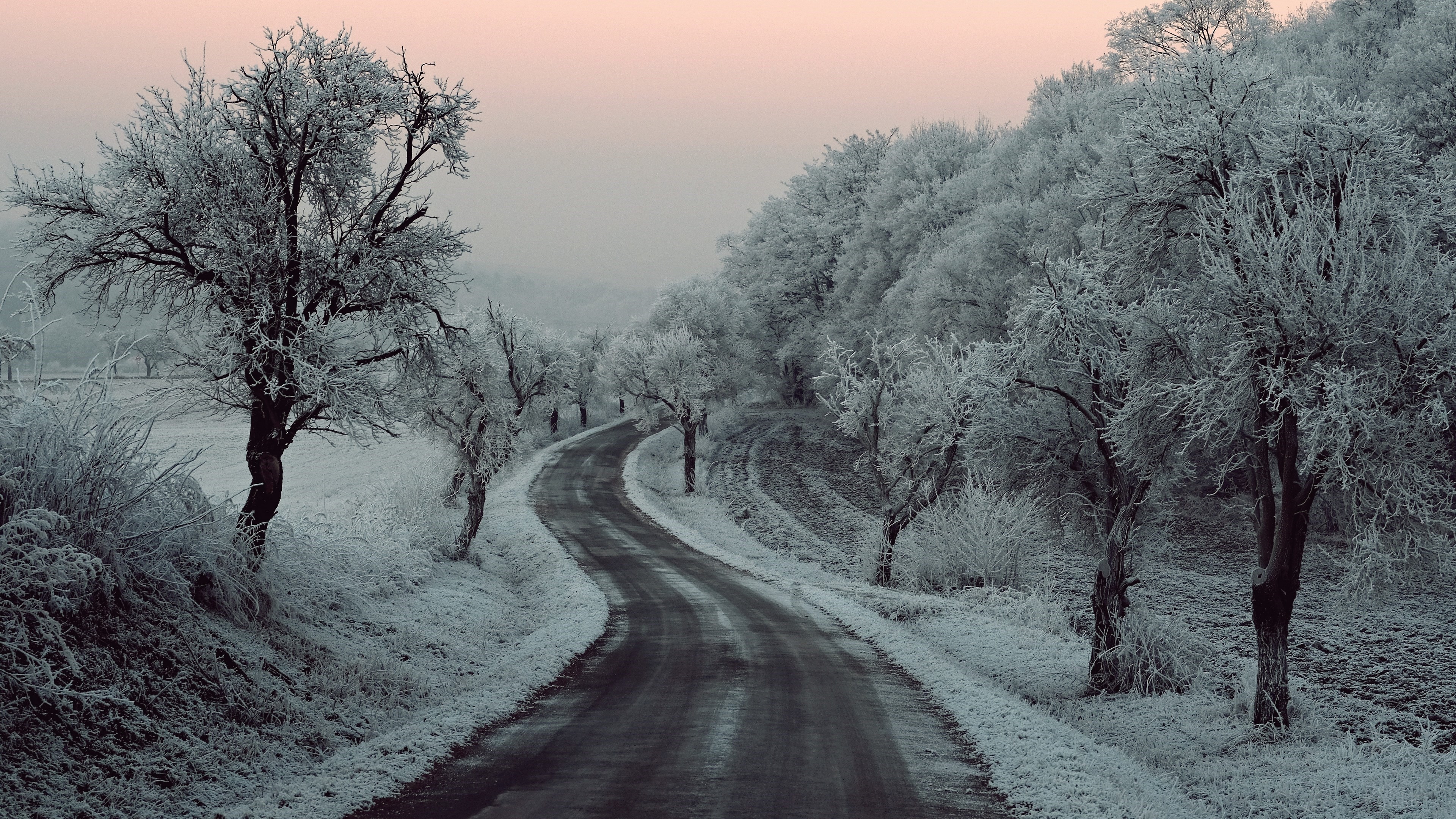 Winding Road Through a Frost-Covered Forest in Winter 4K HD Wallpaper