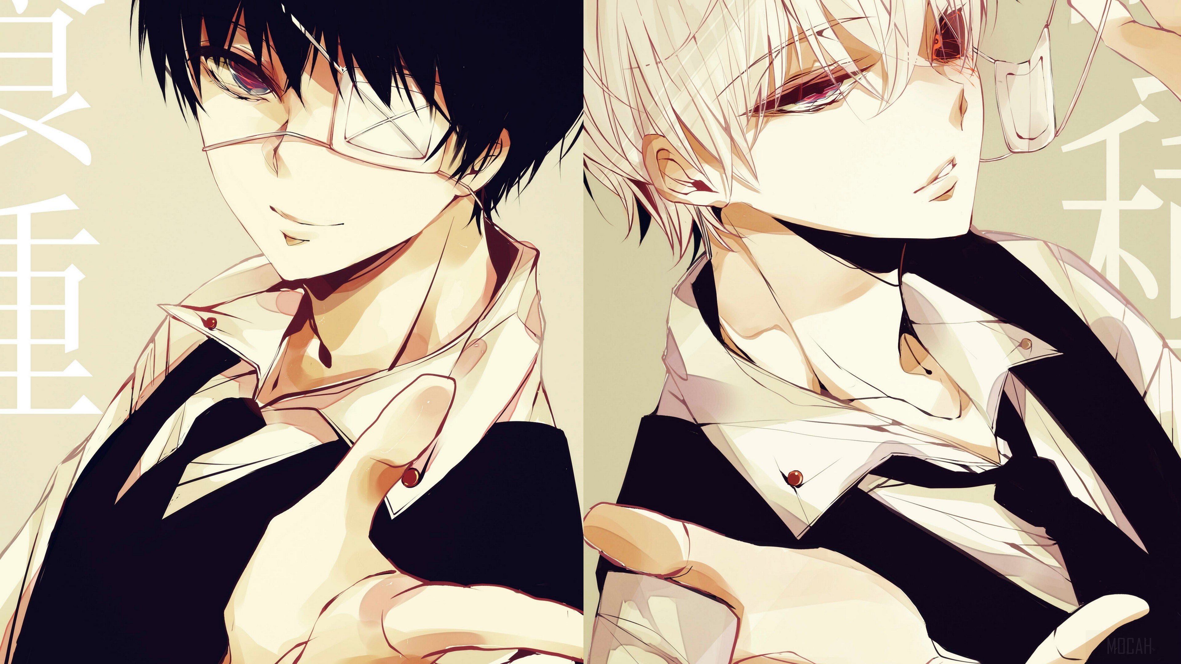 Two anime boys with black and white hair HD Wallpaper