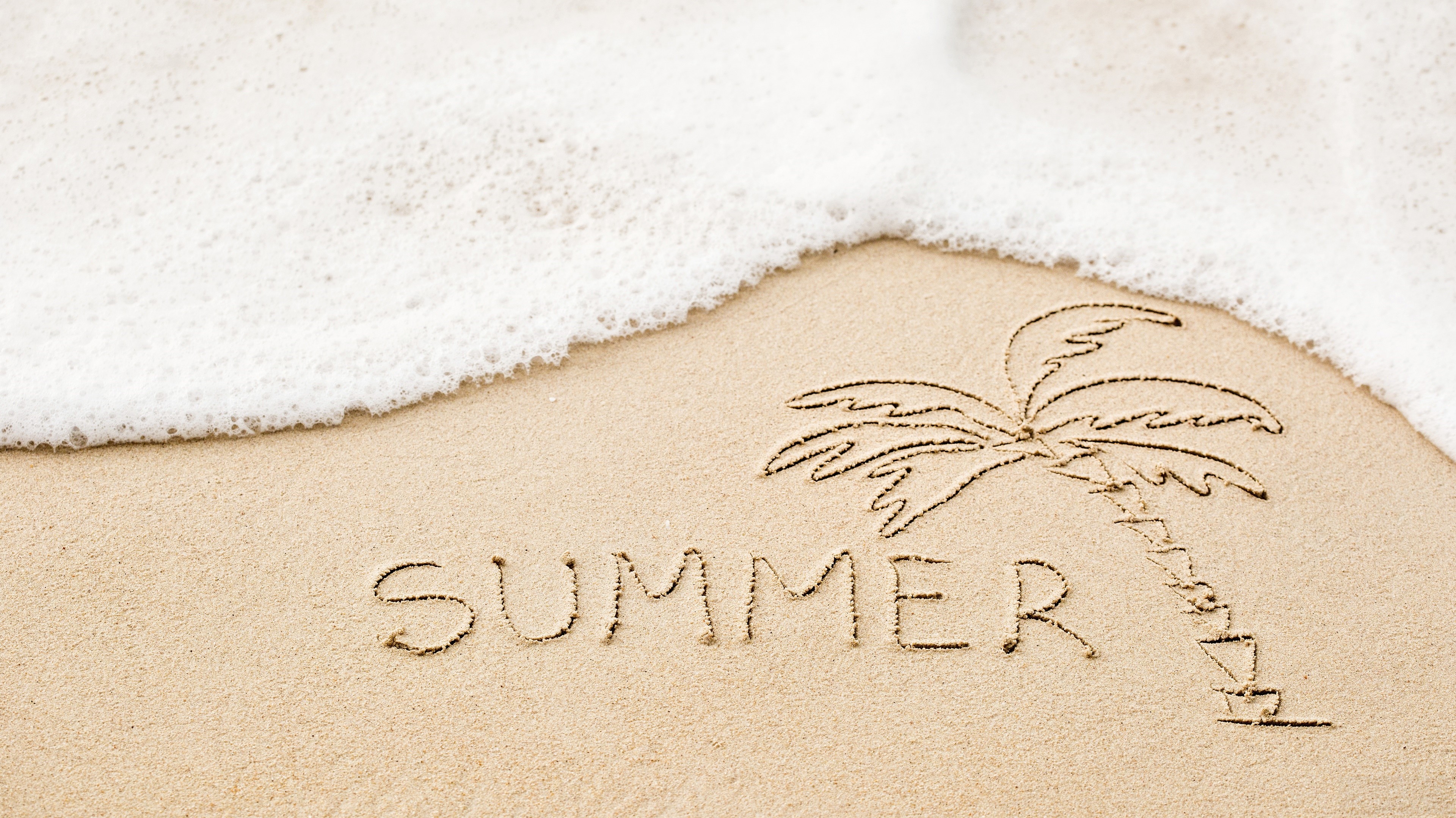 Summer written in sand with a palm tree and wave HD Wallpaper