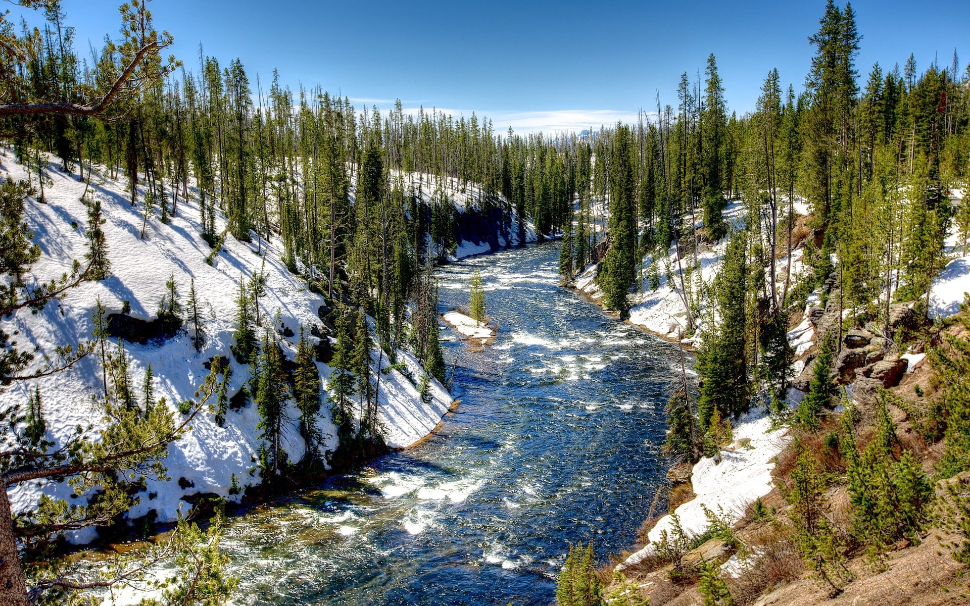 River flowing through a snowy forest HD Wallpaper