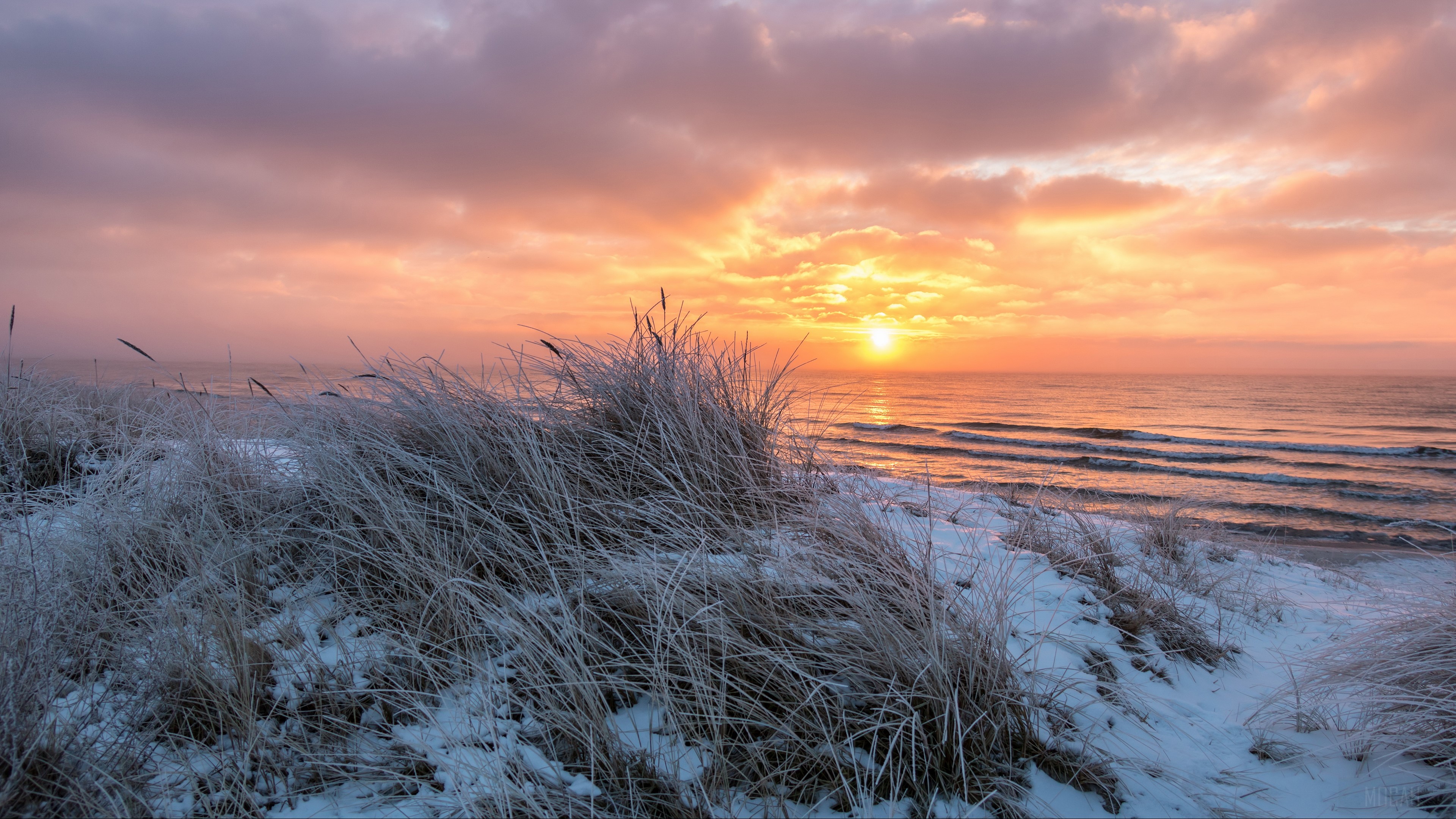 Beach Grass and Ocean Sunset 4K HD Wallpaper
