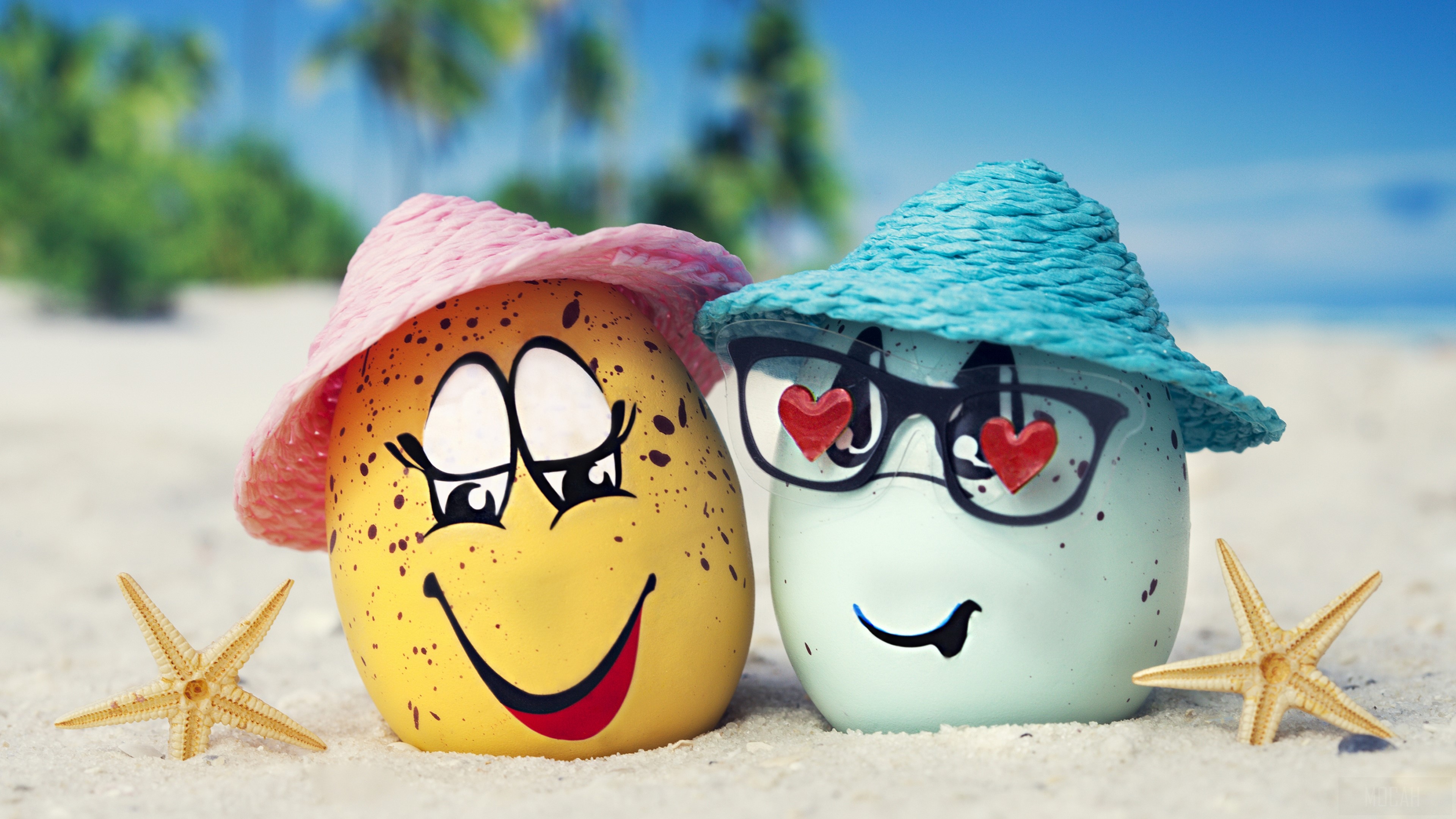 Couple Eggs on Beach with Starfish 4K HD Wallpaper