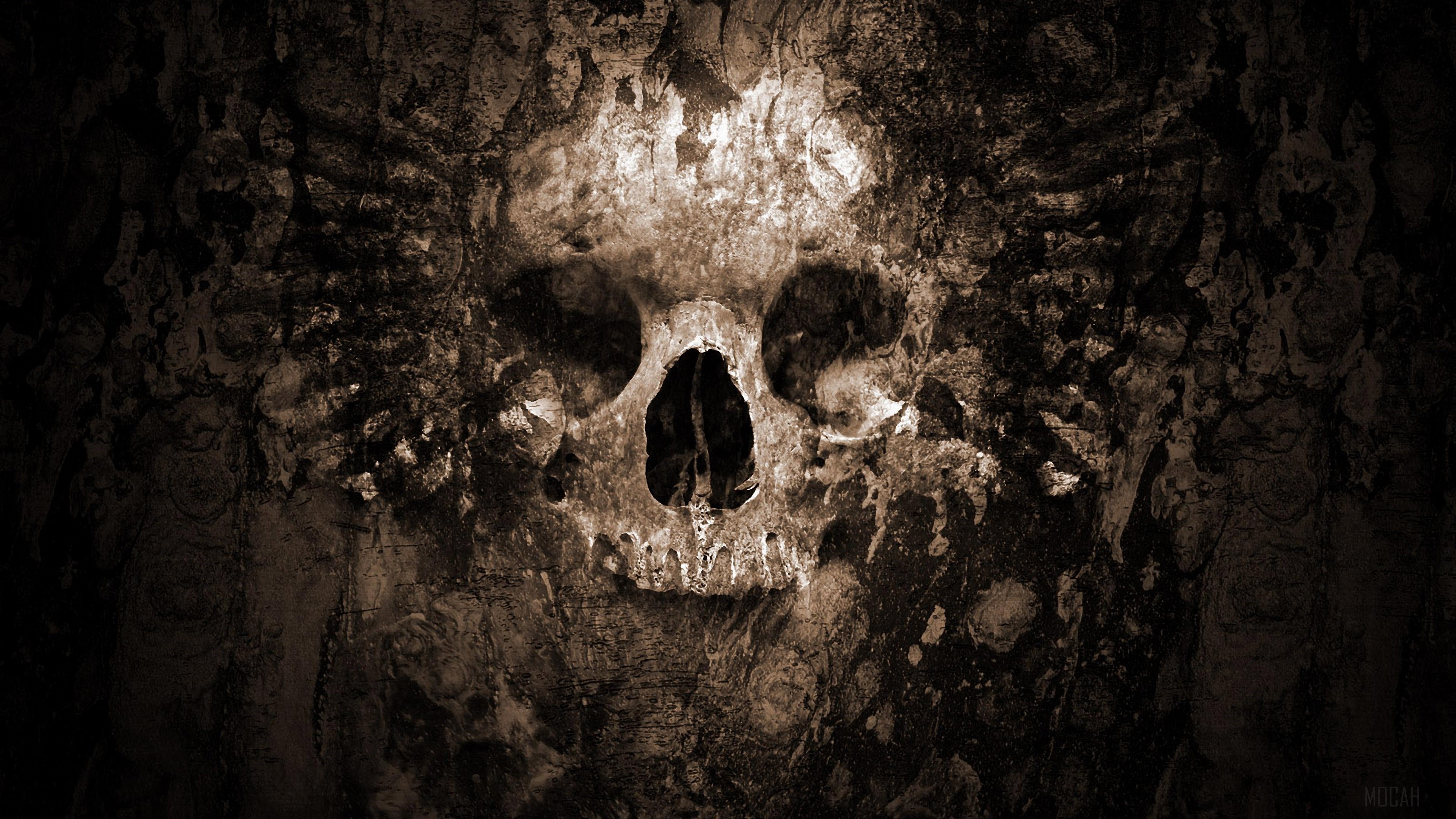 Skull HD Wallpaper