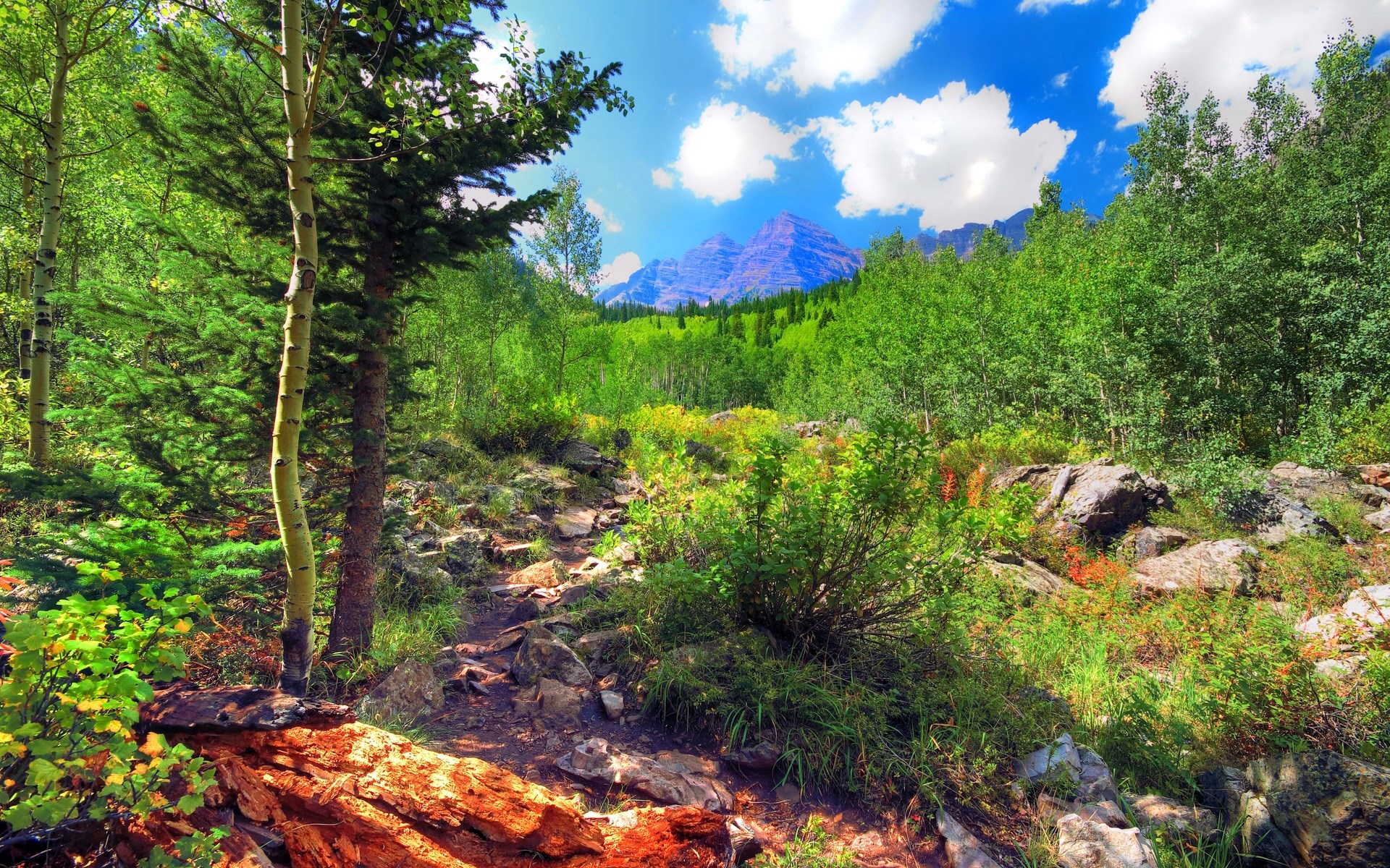 Mountain landscape with trees and a hiking trail HD Wallpaper