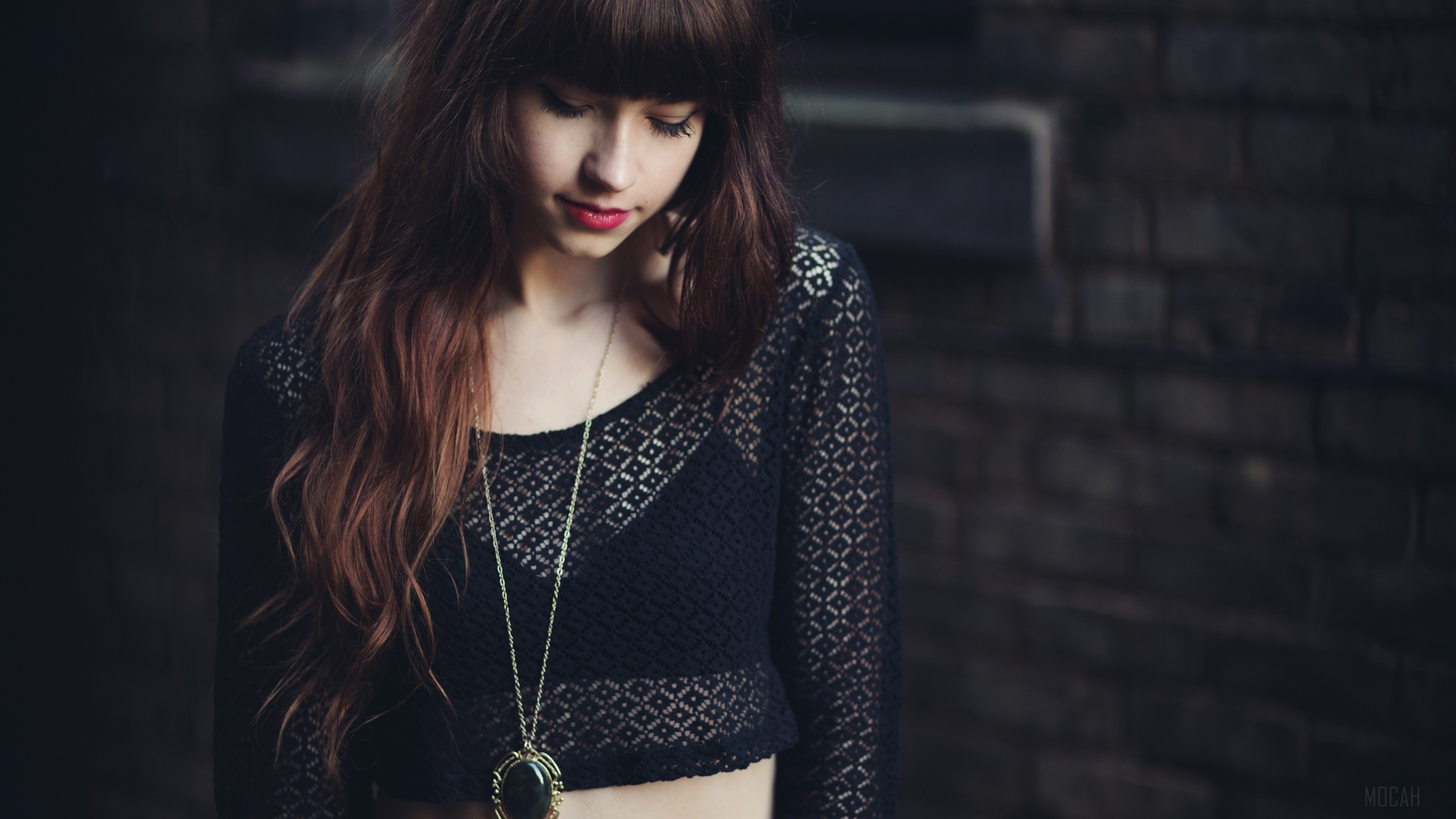 Taylor Penshorn HD Wallpaper