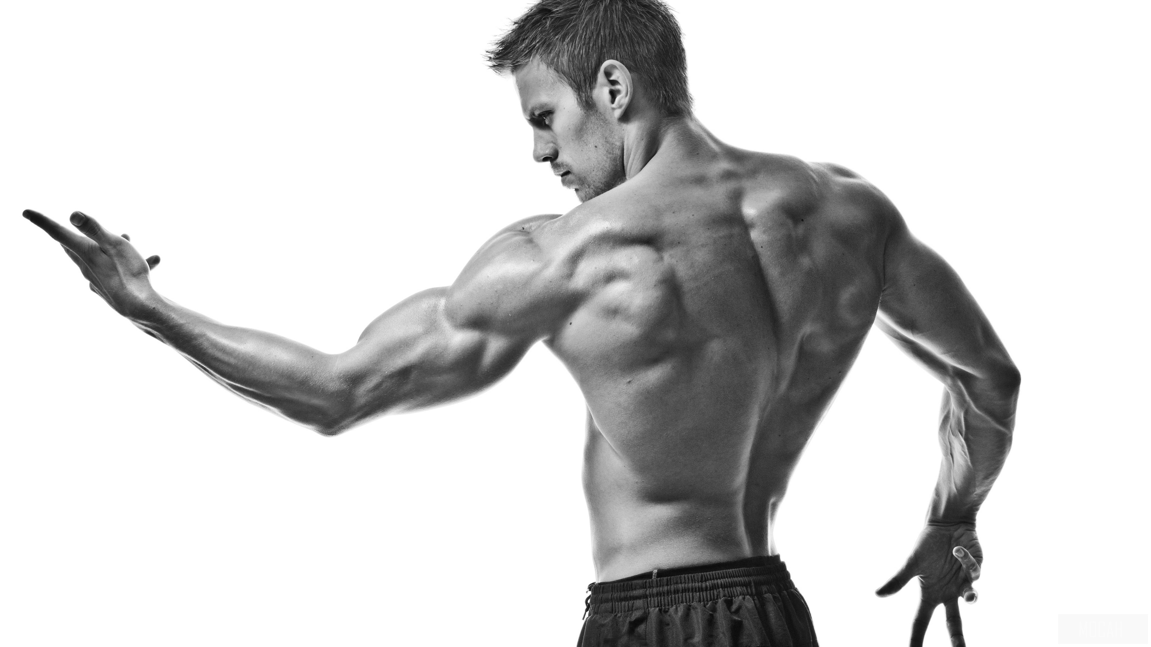 Man showing back muscles HD Wallpaper