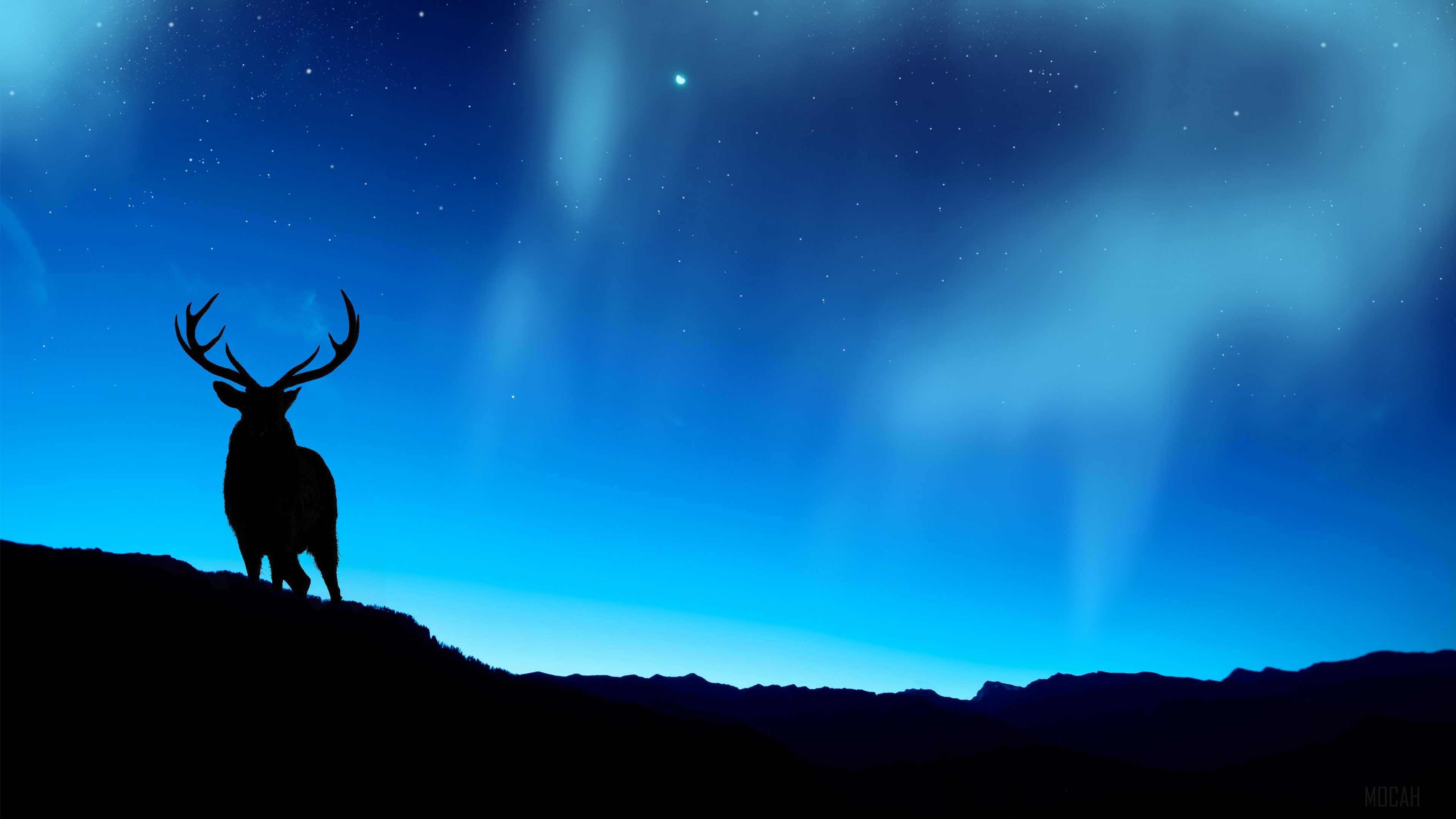 Silhouette of a stag against the aurora borealis HD Wallpaper