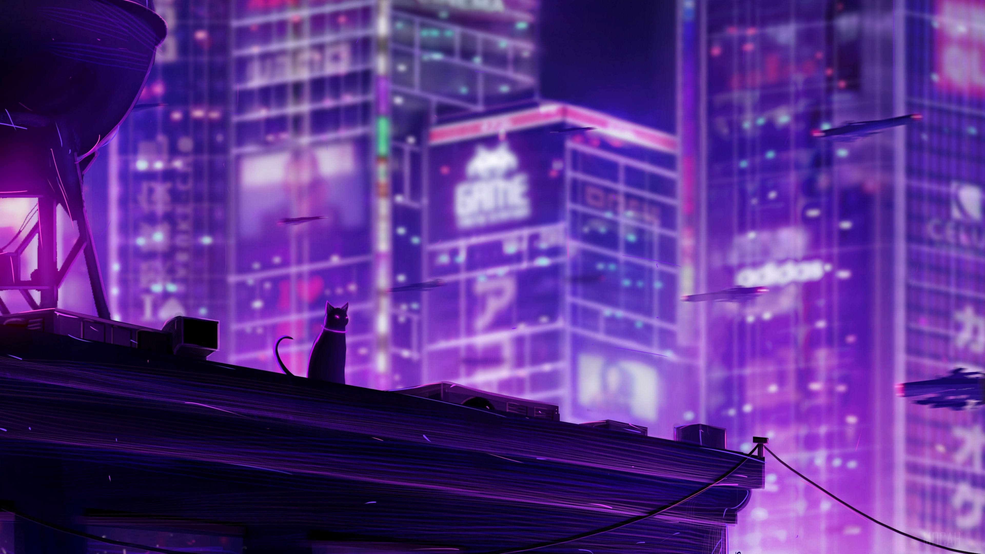 Black cat on a rooftop in a neon city HD Wallpaper
