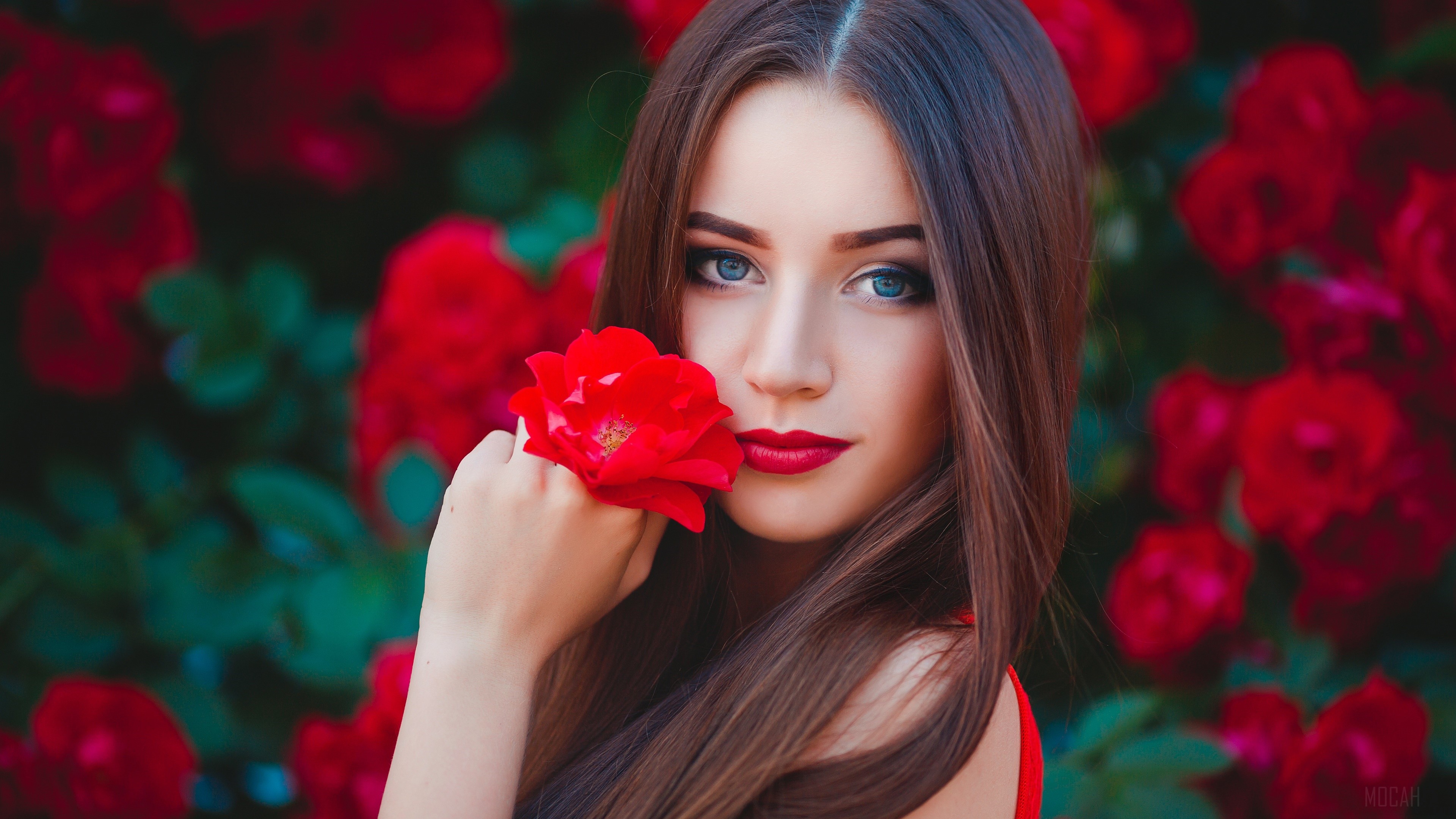 Brunette Woman with Red Flower and Blue Eyes HD Wallpaper