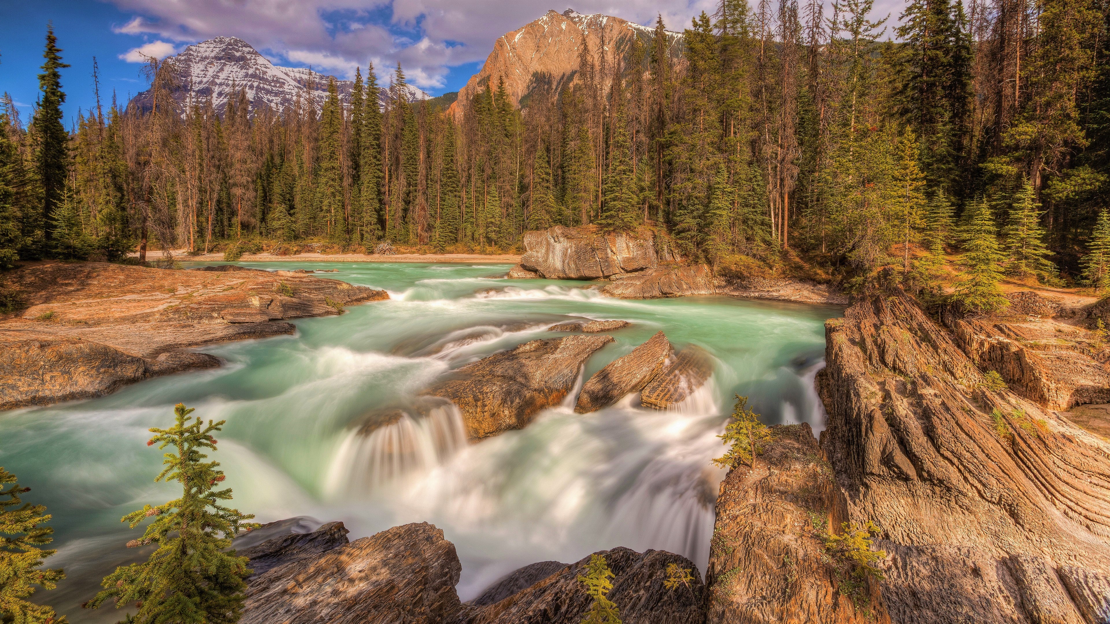 Majestic Forest River with Waterfall in 4K HD Wallpaper