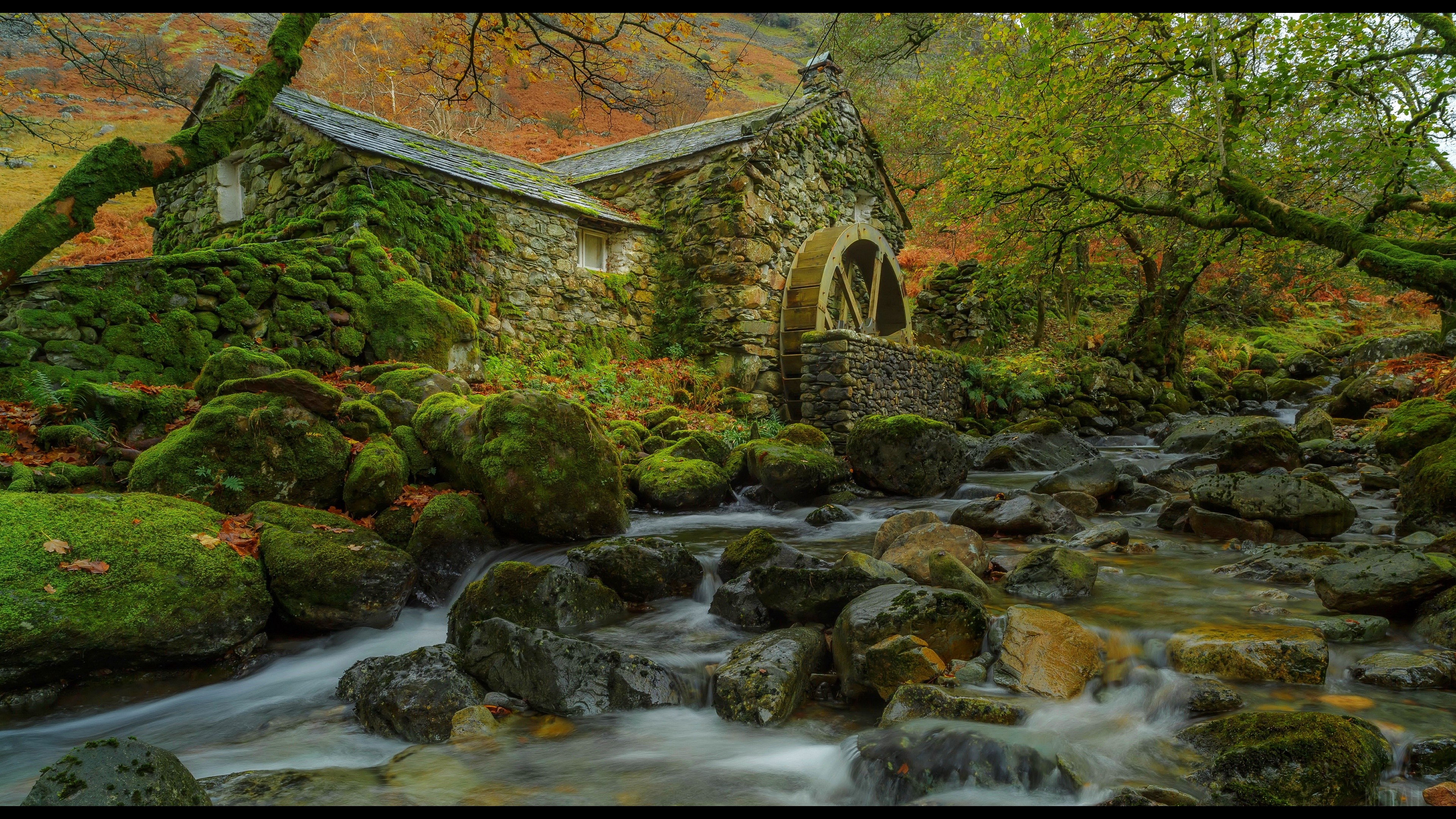 Stone watermill by a mossy stream in a forest HD Wallpaper
