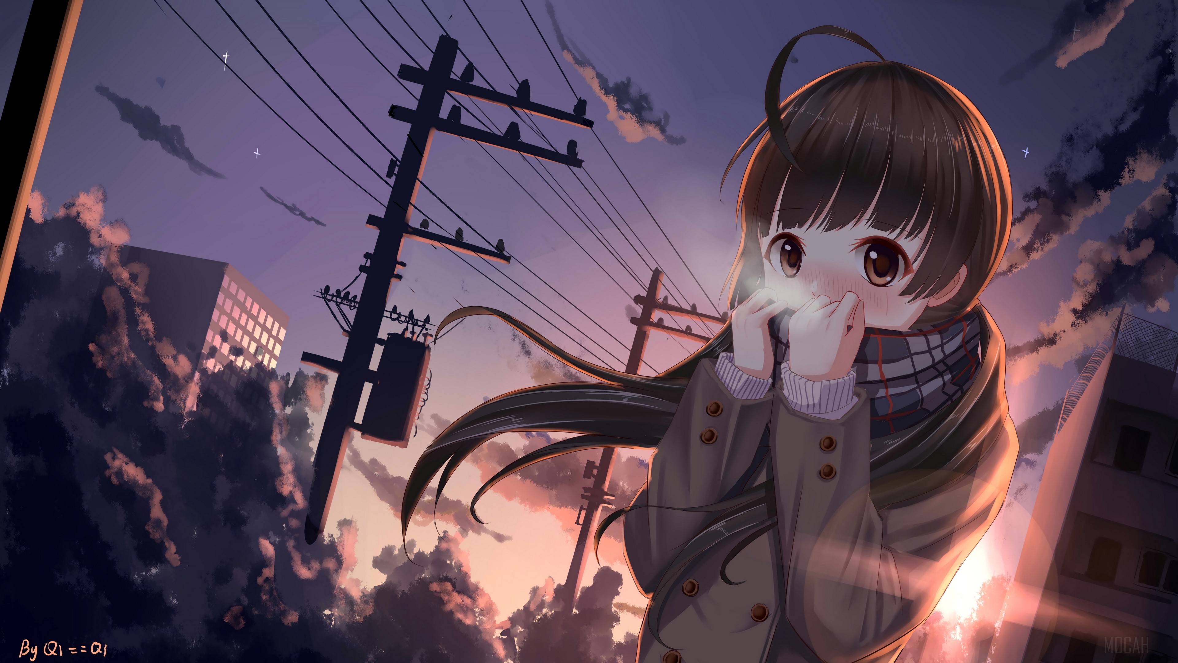 Anime girl in scarf at sunset with power lines HD Wallpaper