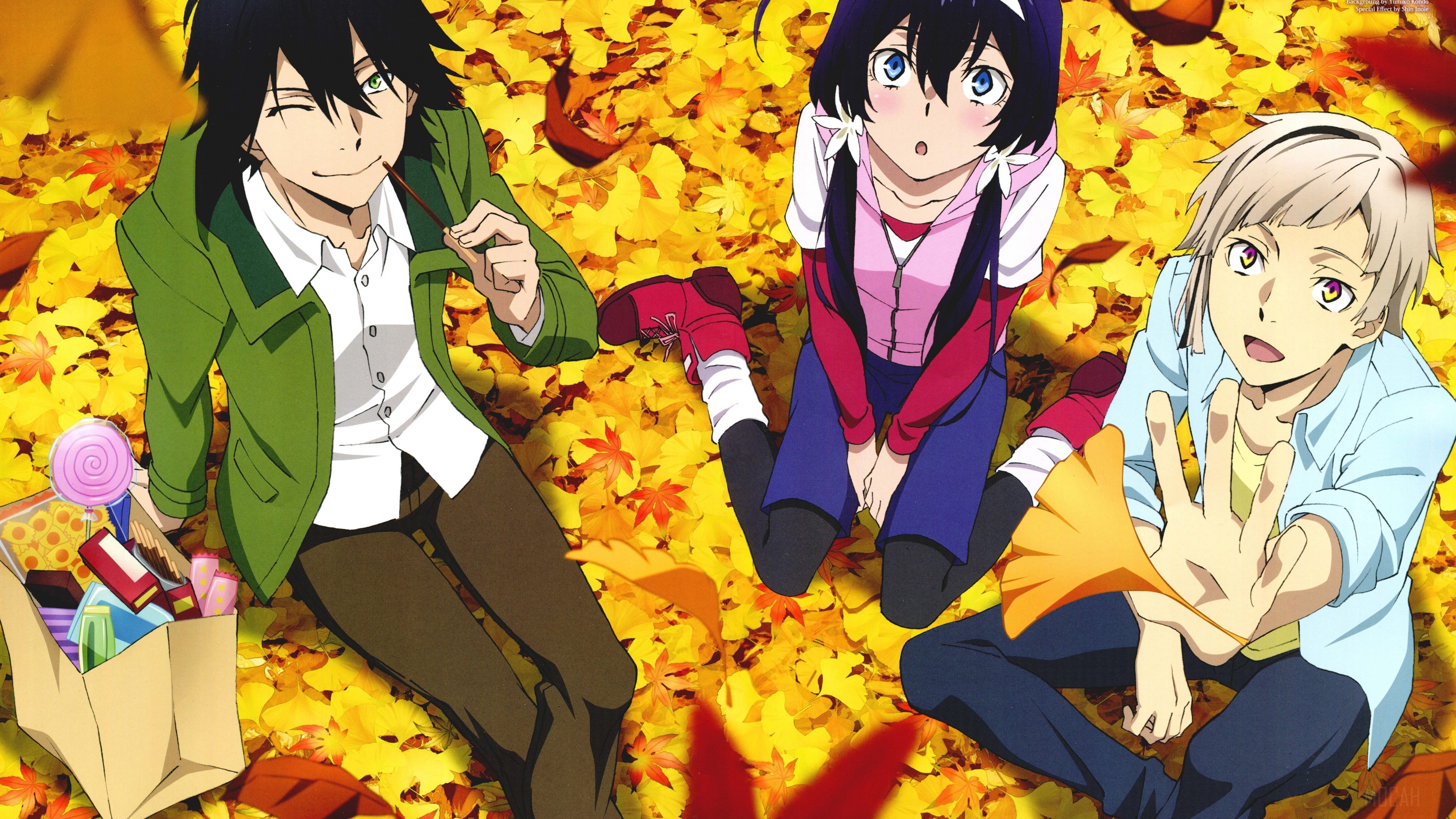 3 anime characters sitting on autumn leaves HD Wallpaper