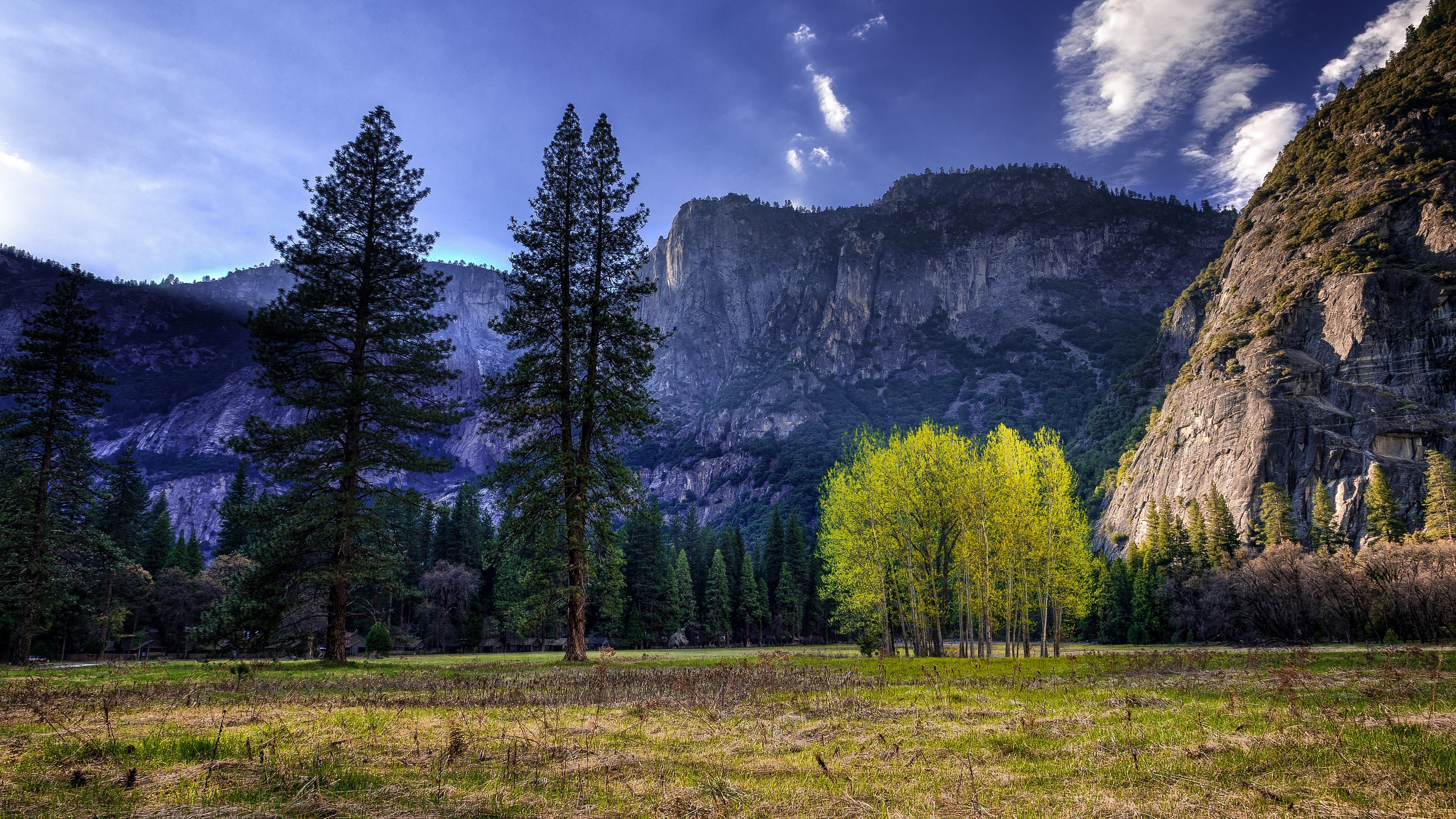 Yosemite National Park 4K HD Wallpaper