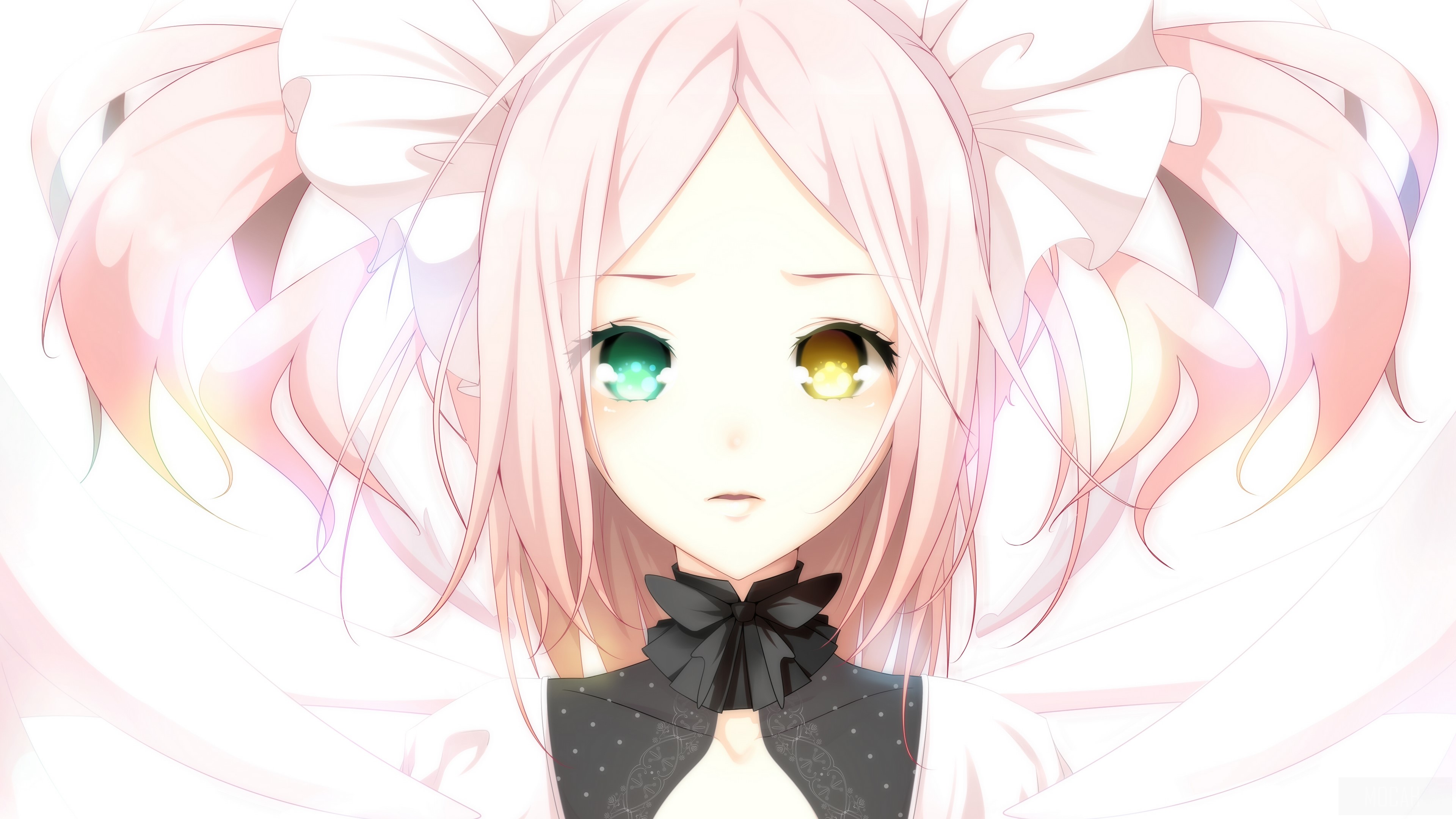 Girl with heterochromia and pink pigtails HD Wallpaper