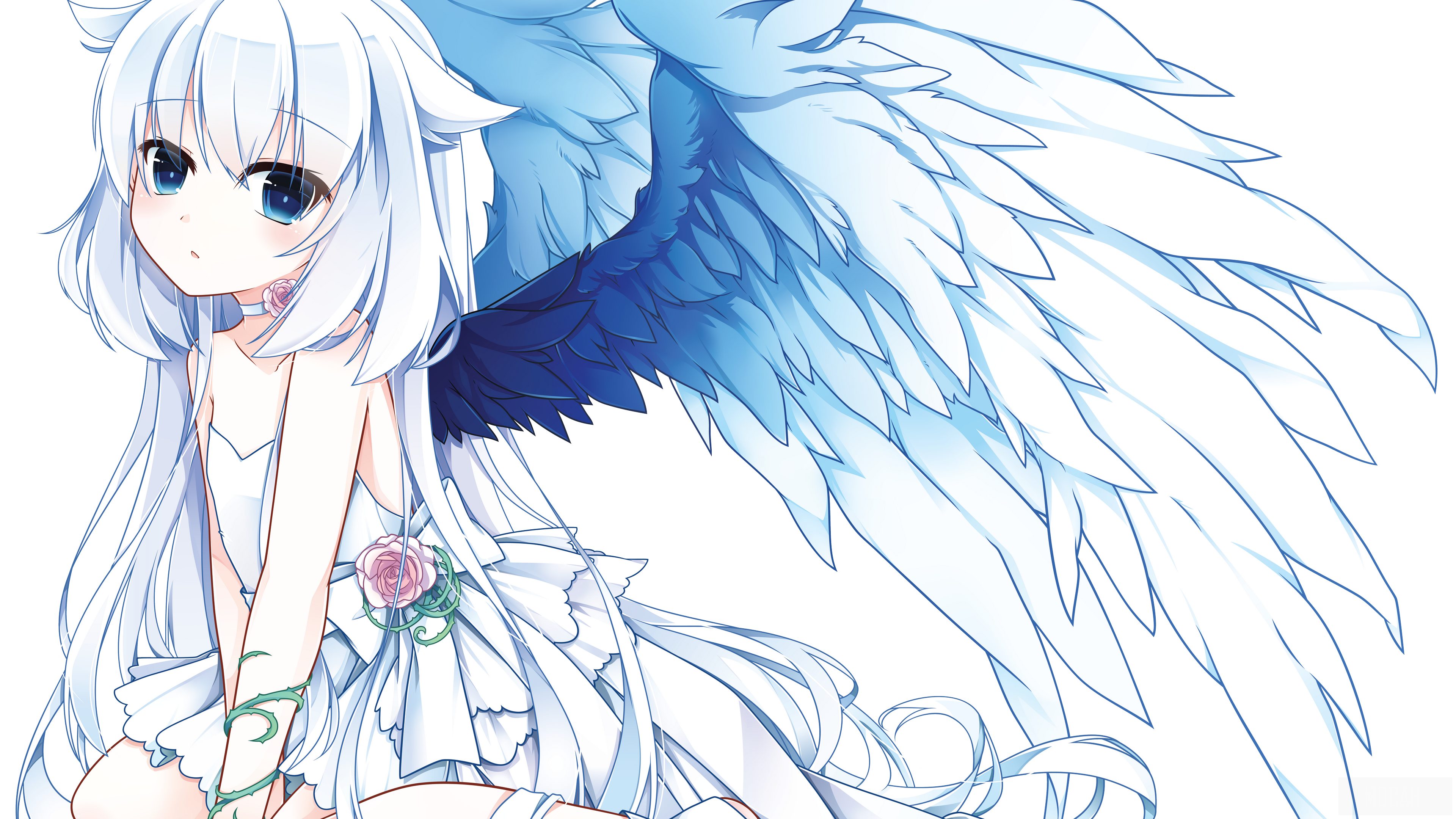 Anime Girl with White Hair and Blue Wings HD Wallpaper