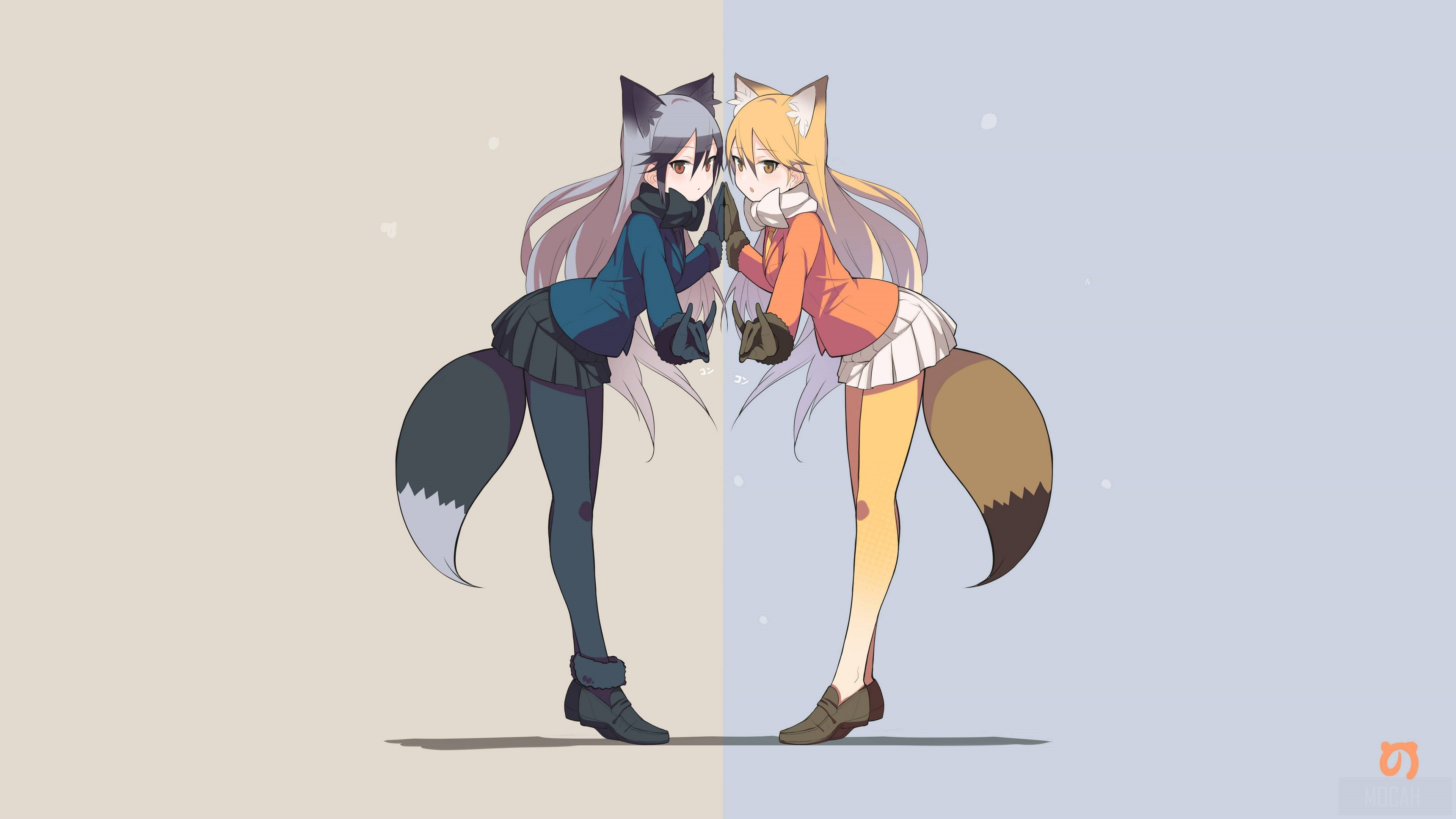 Ezo Red Fox and Silver Fox in 4K HD Wallpaper
