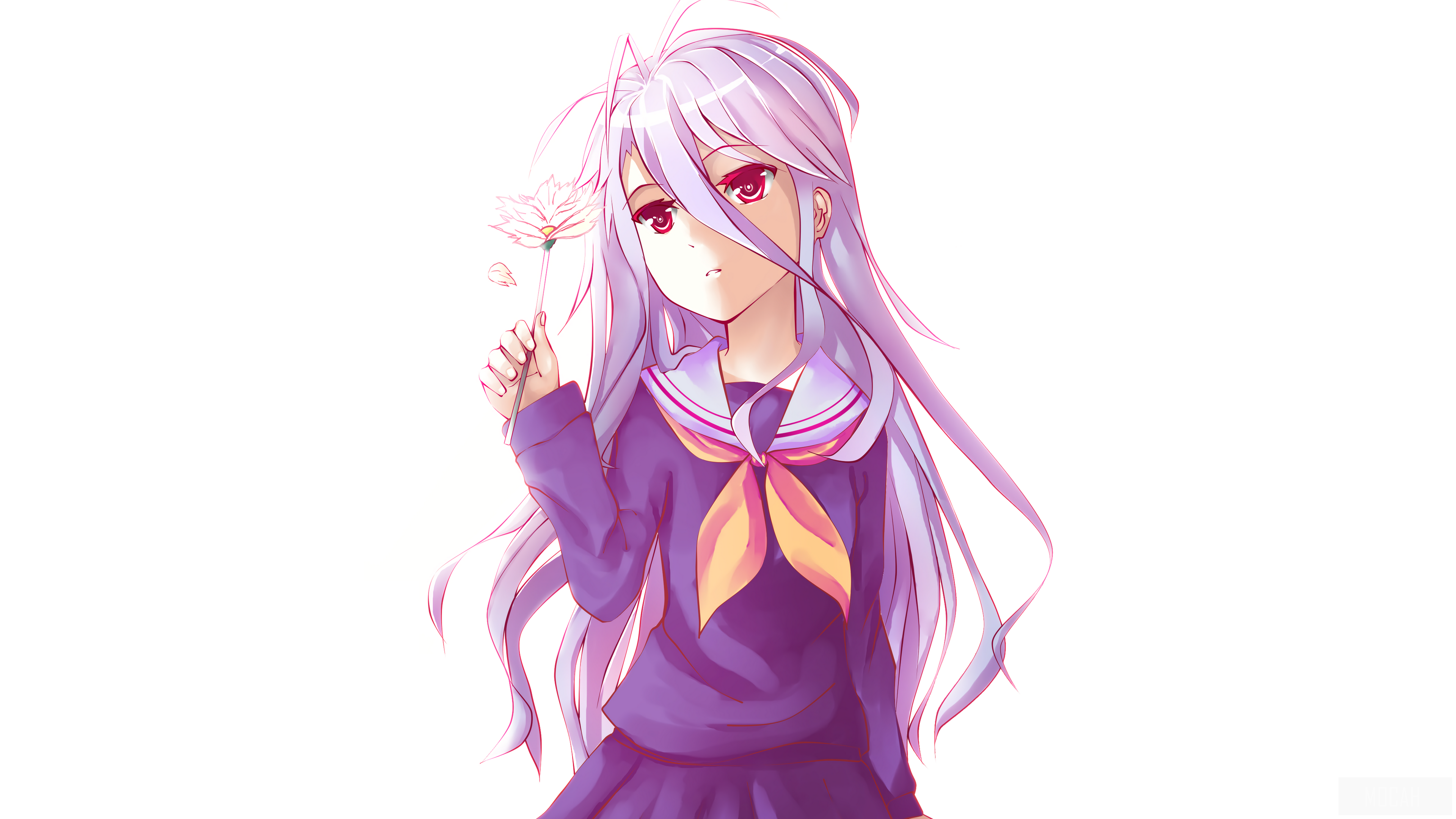 Shiro from No Game No Life 4K HD Wallpaper