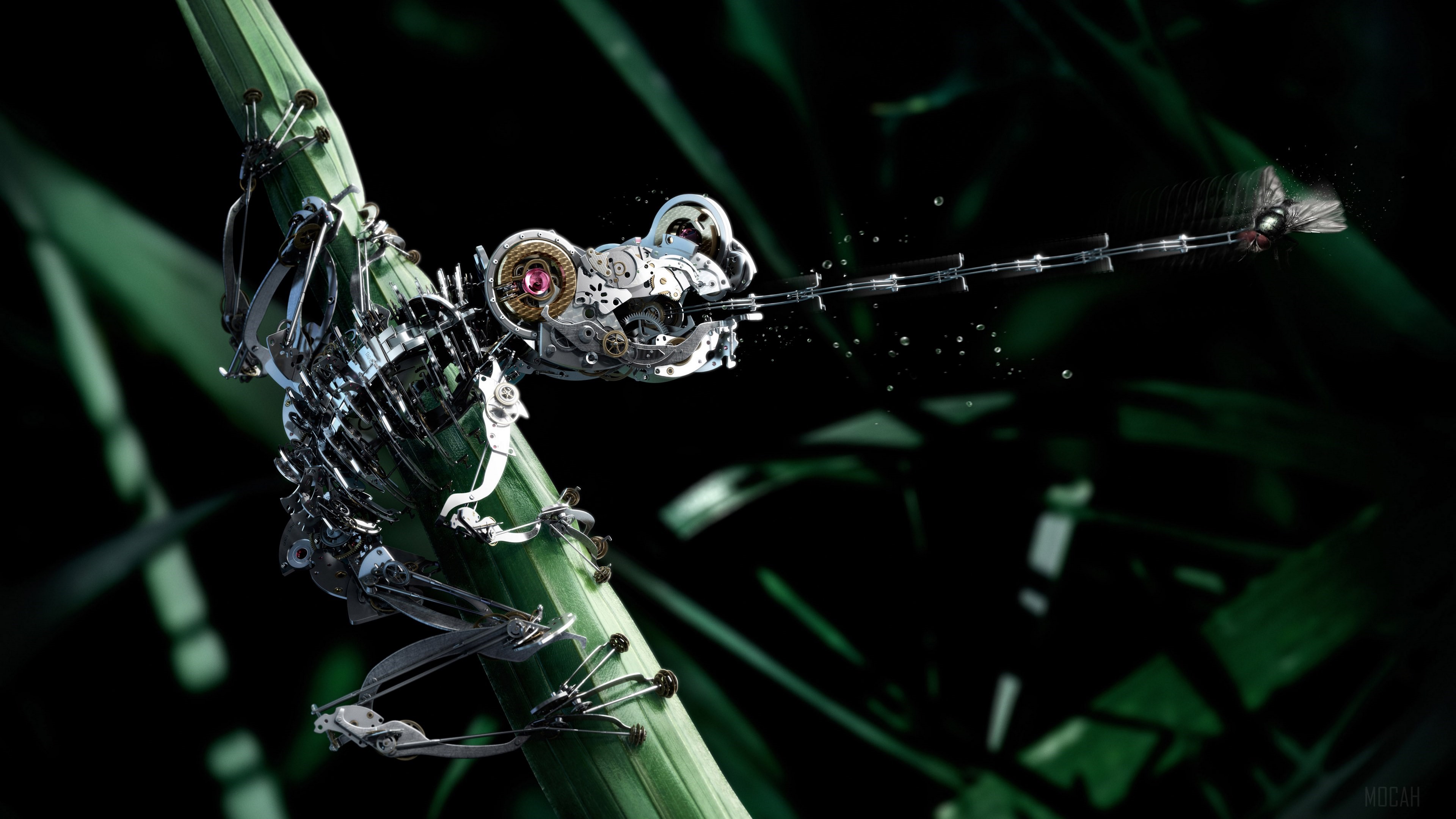 Mechanical frog on a plant stalk HD Wallpaper