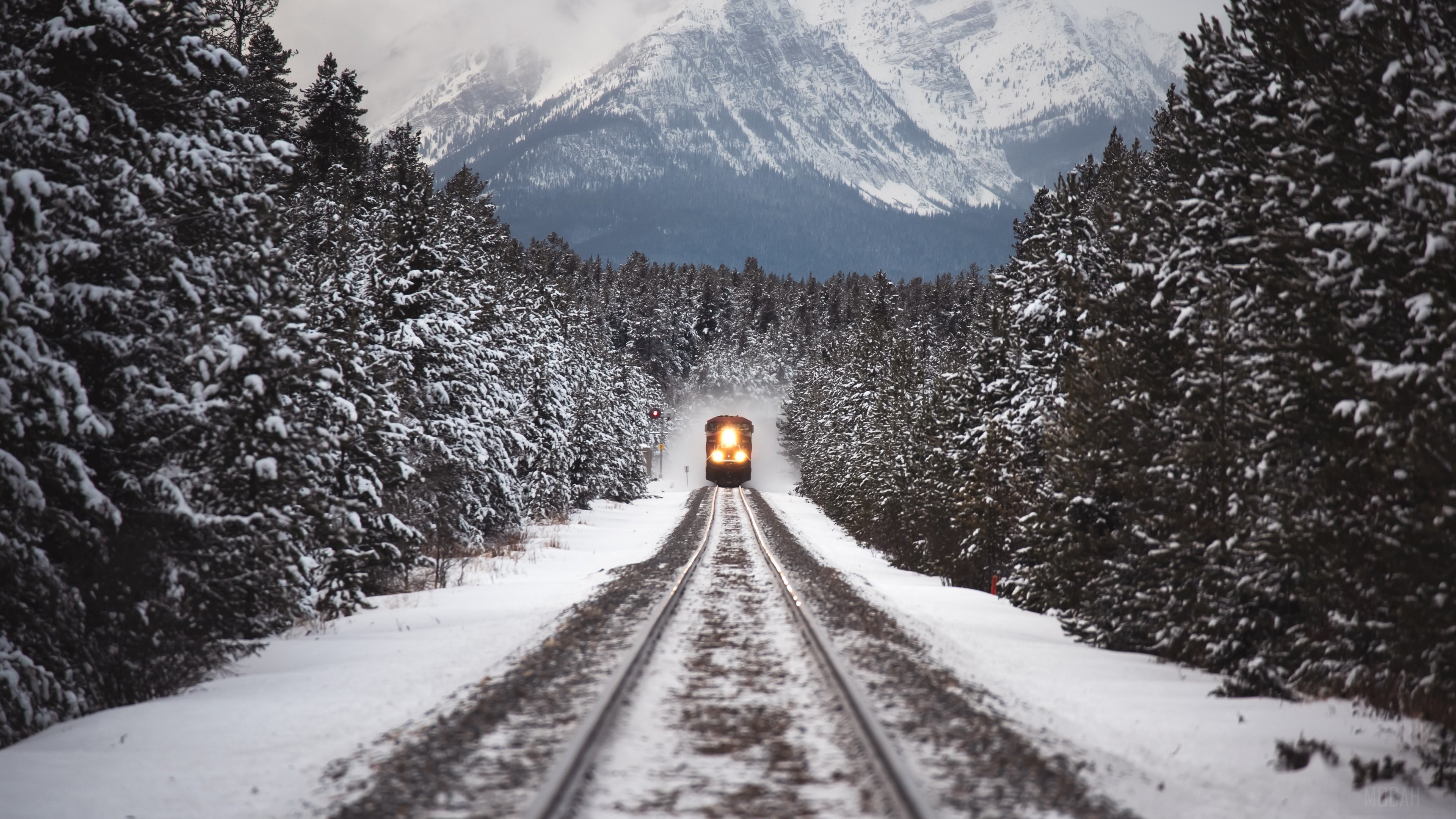 Train approaching through a snowy mountain forest HD Wallpaper
