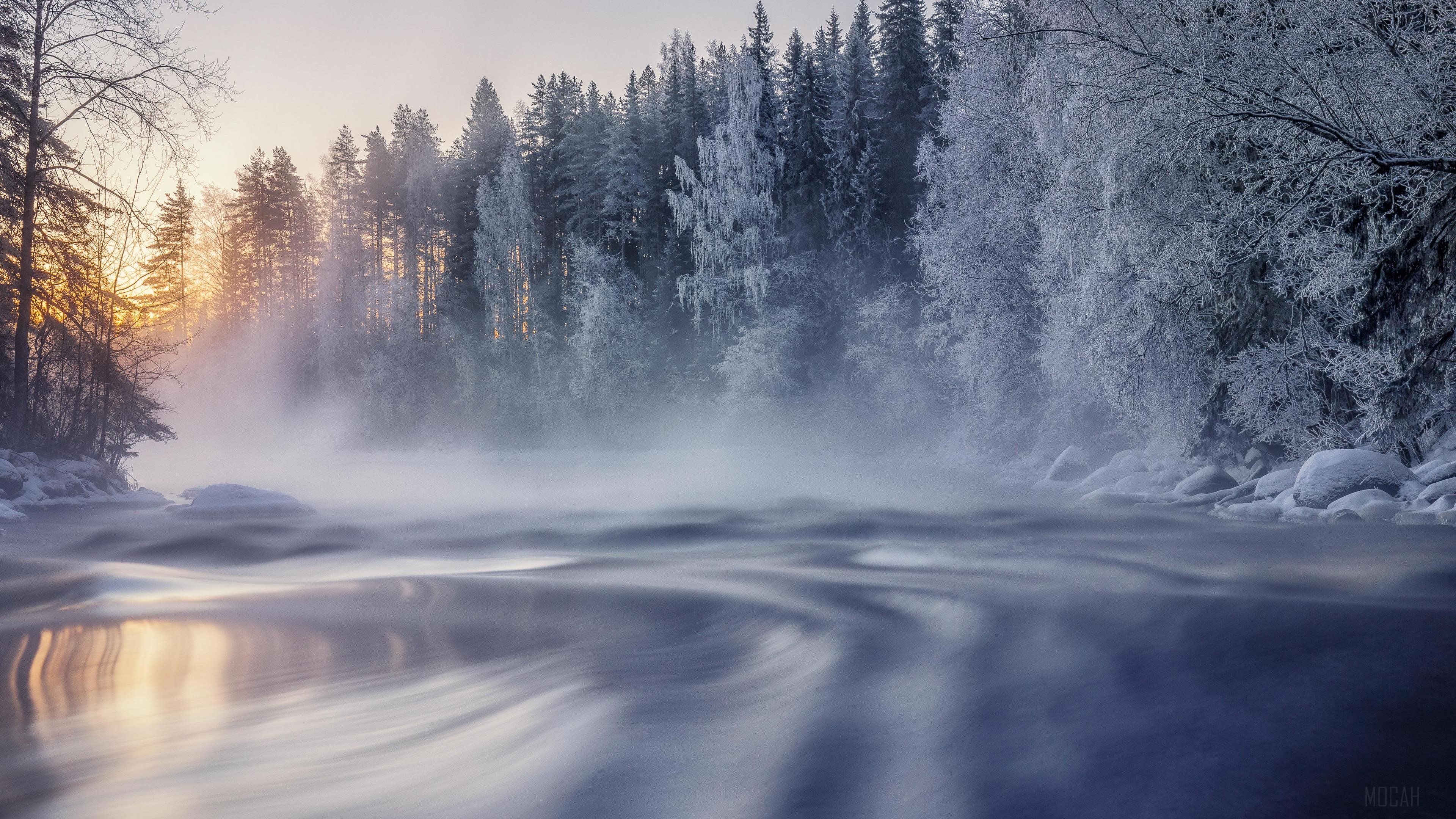 Winter forest with mist over river 4K HD Wallpaper