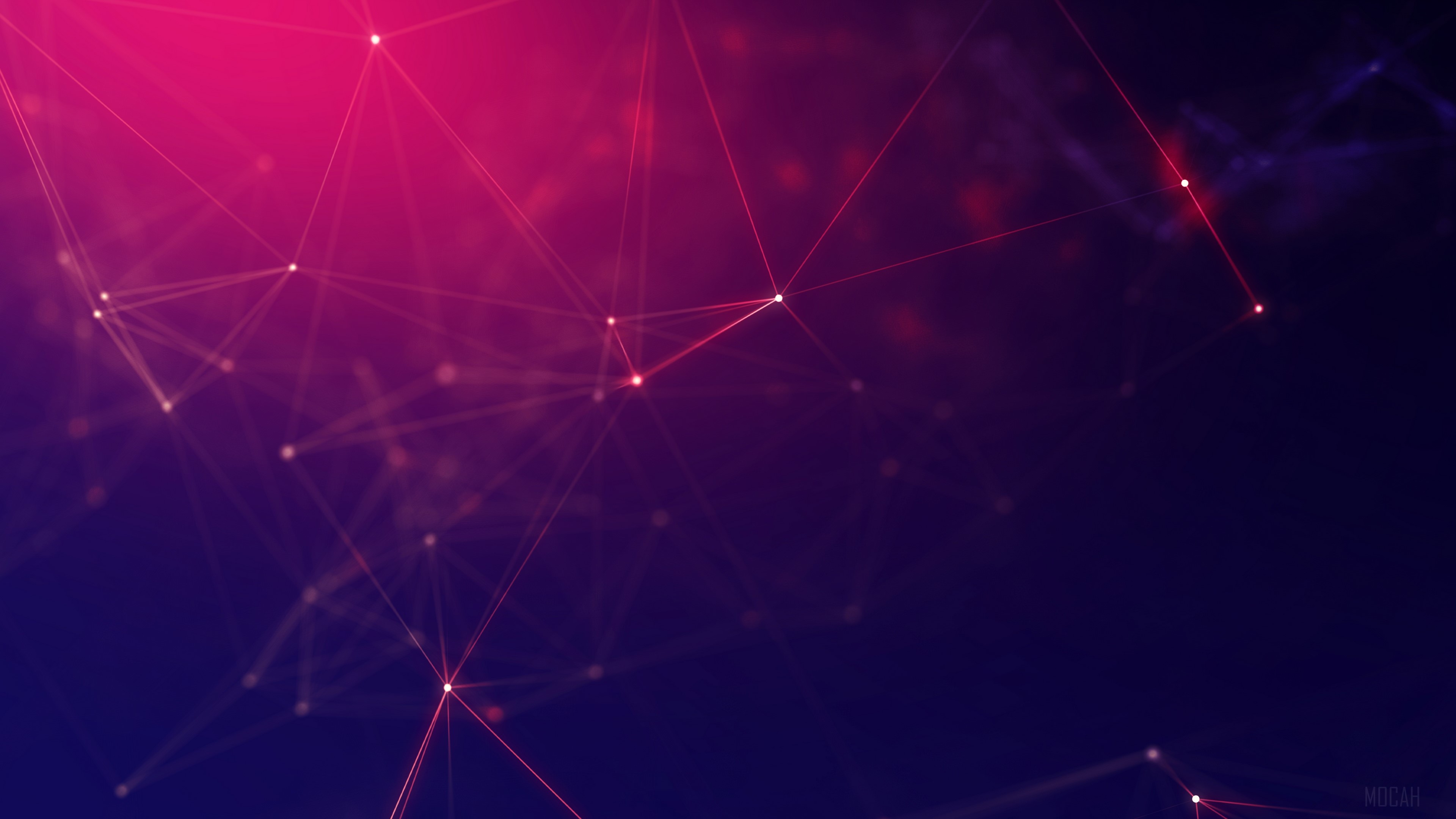 Abstract Network Lines 4K HD Wallpaper