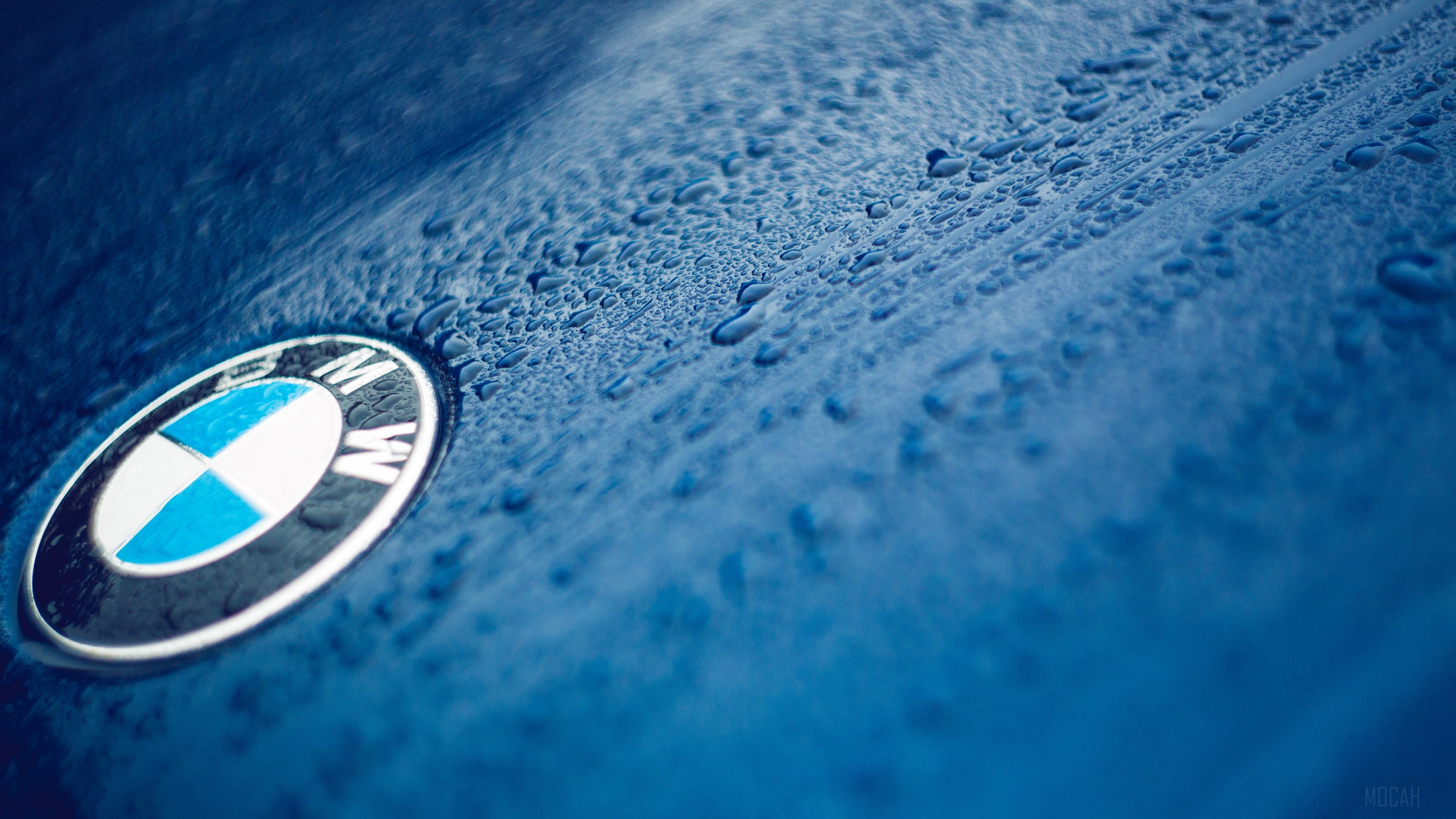 BMW logo on a wet blue car 4K HD Wallpaper