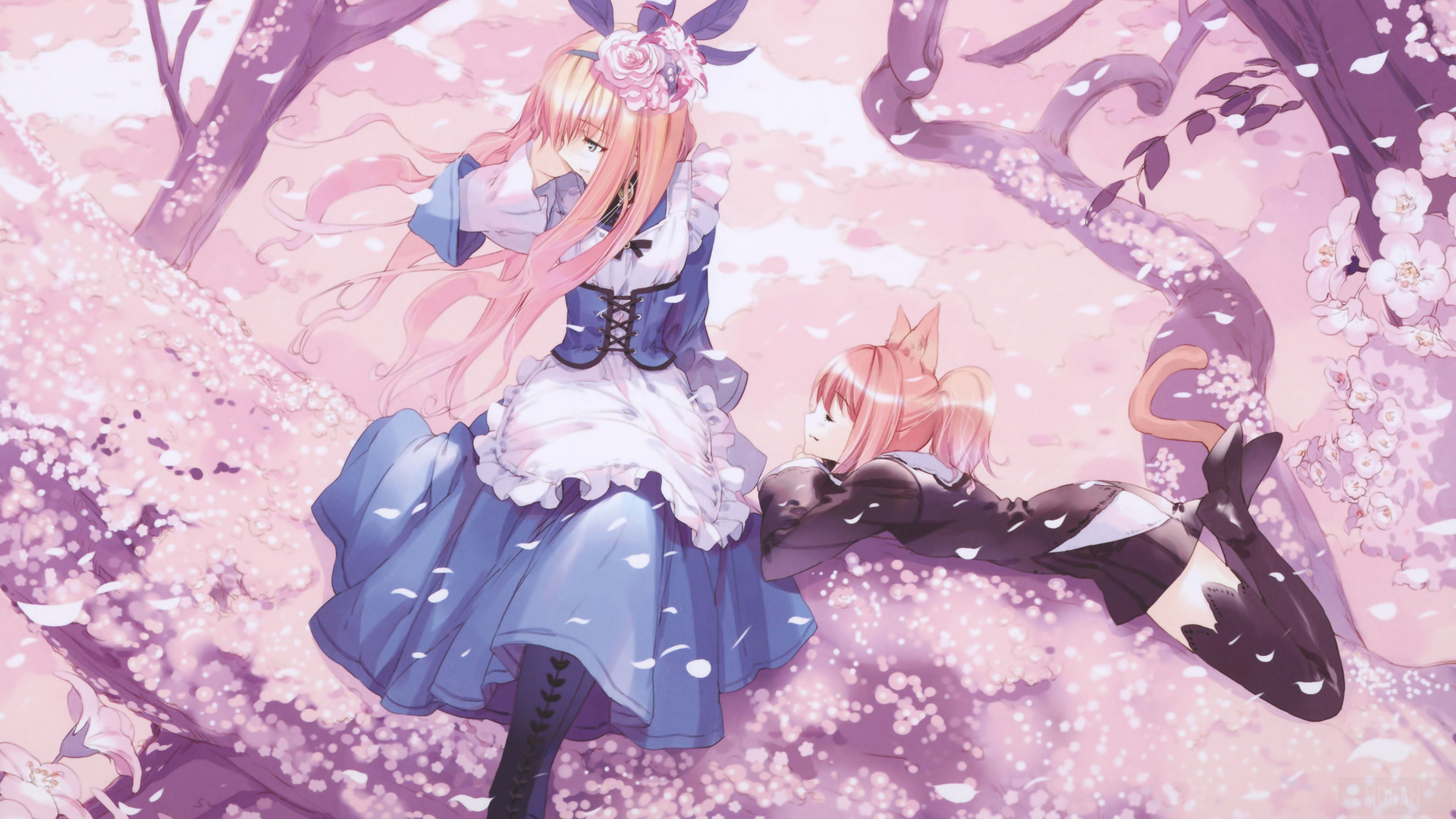 Two anime girls in a cherry blossom forest HD Wallpaper