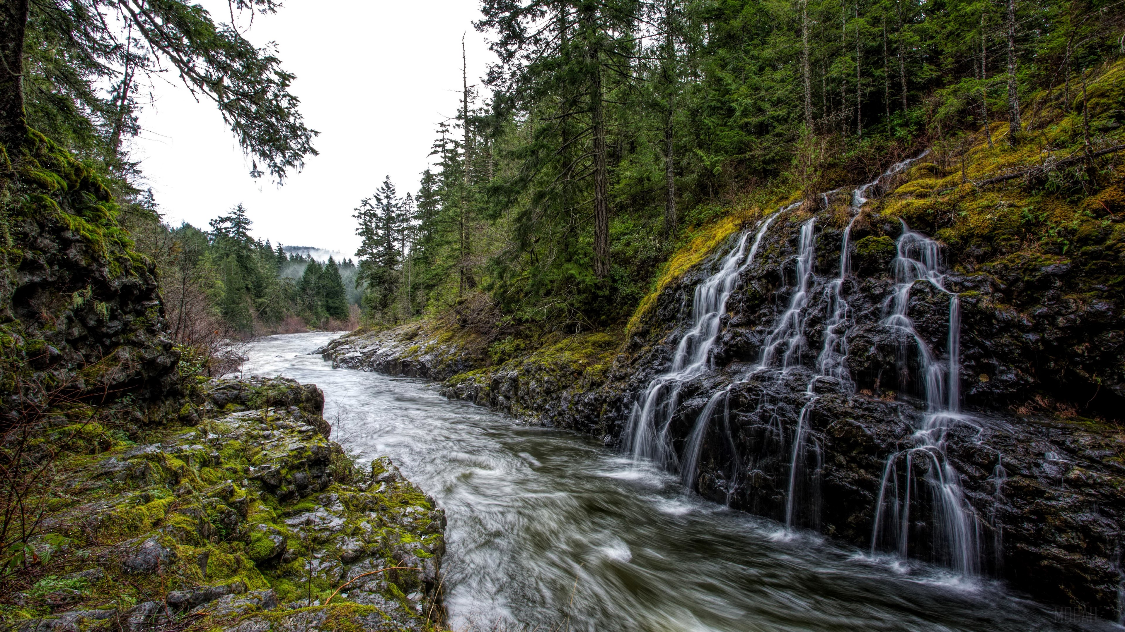 River flowing past rocks and waterfall in forest HD Wallpaper