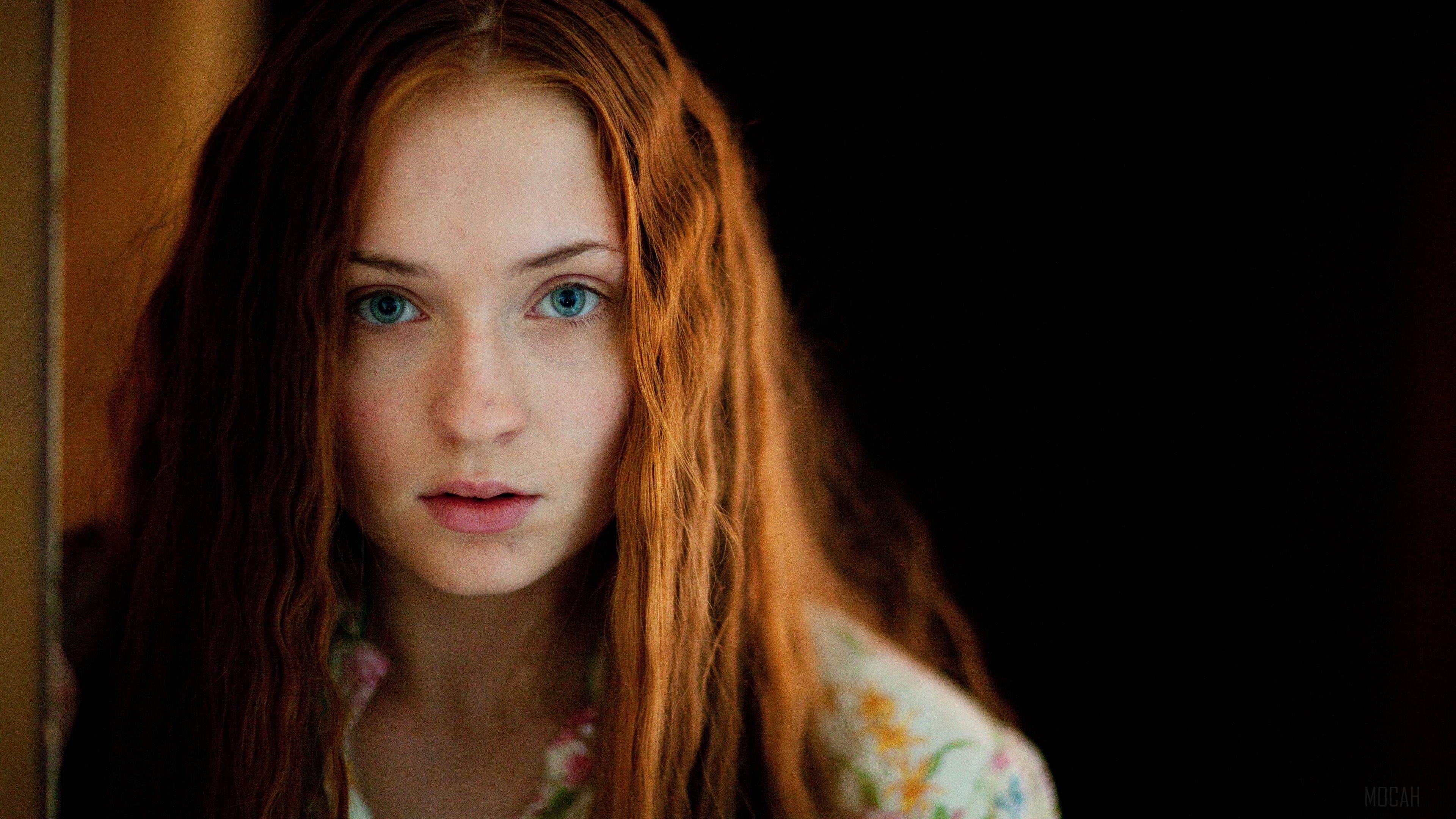Sophie Turner HD Wallpaper