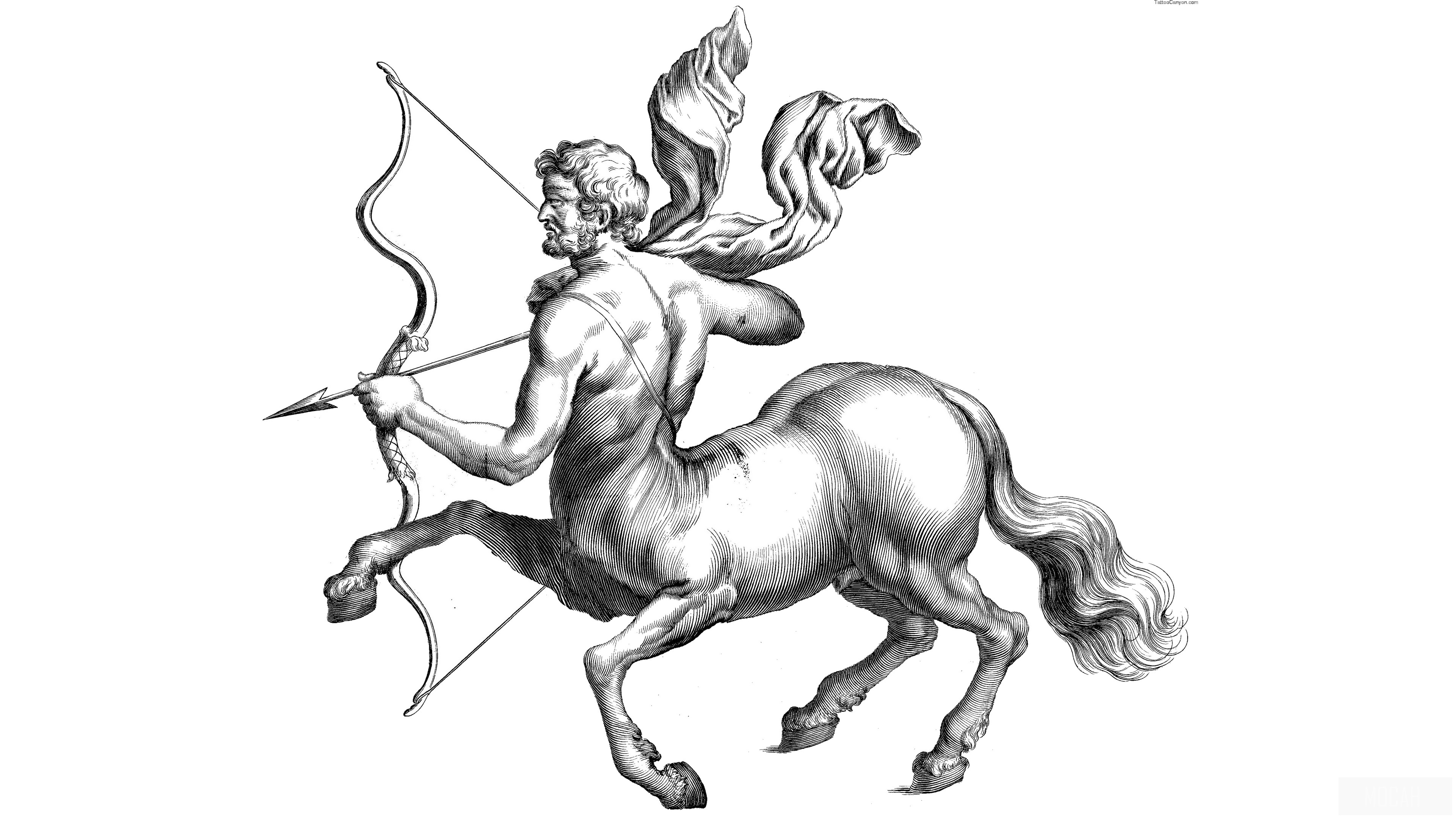 Centaur Archer with Bow and Arrow HD Wallpaper