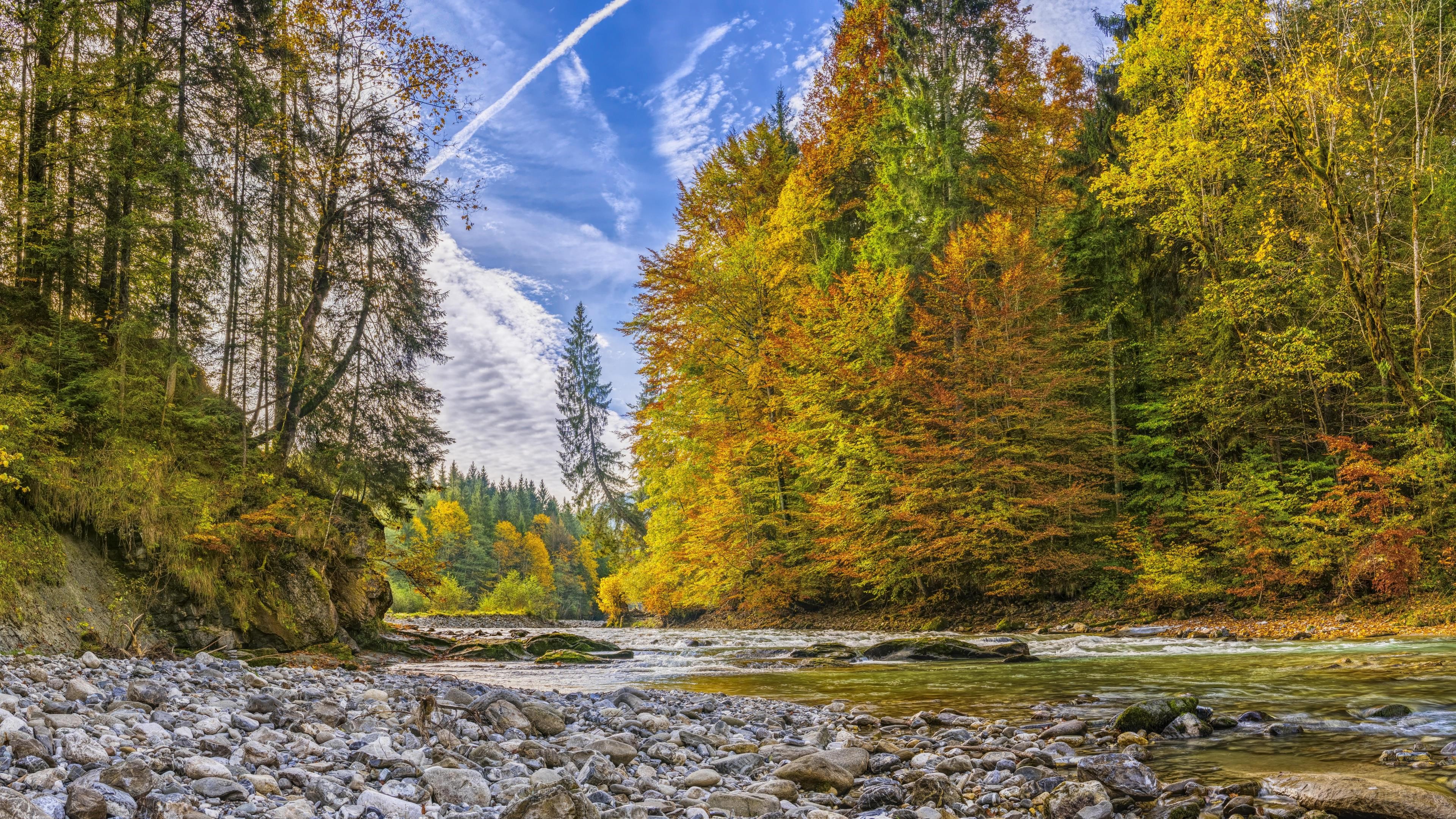 River flowing through an autumn forest 4K HD Wallpaper