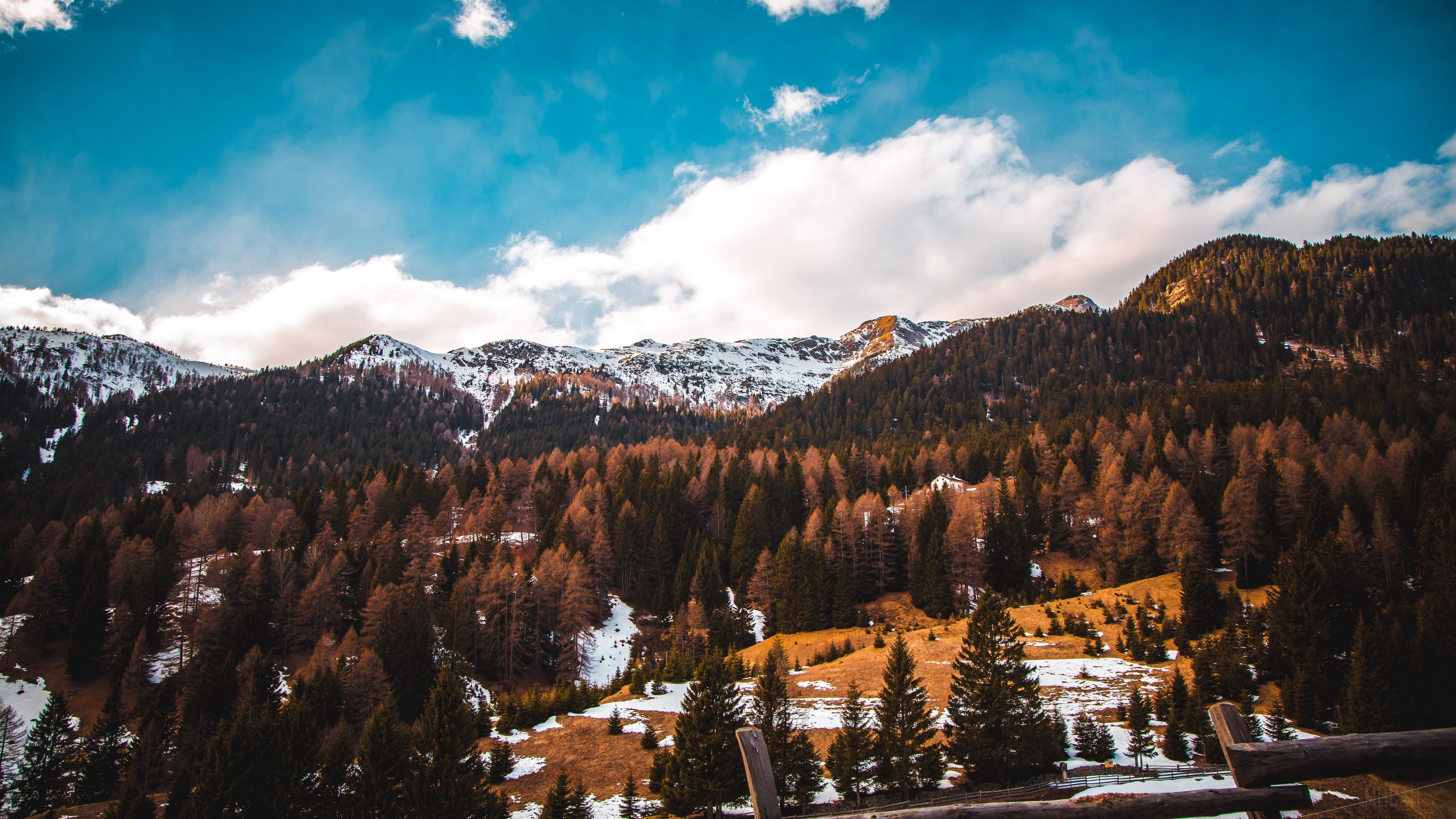 Forest and Mountain Landscape 4K HD Wallpaper