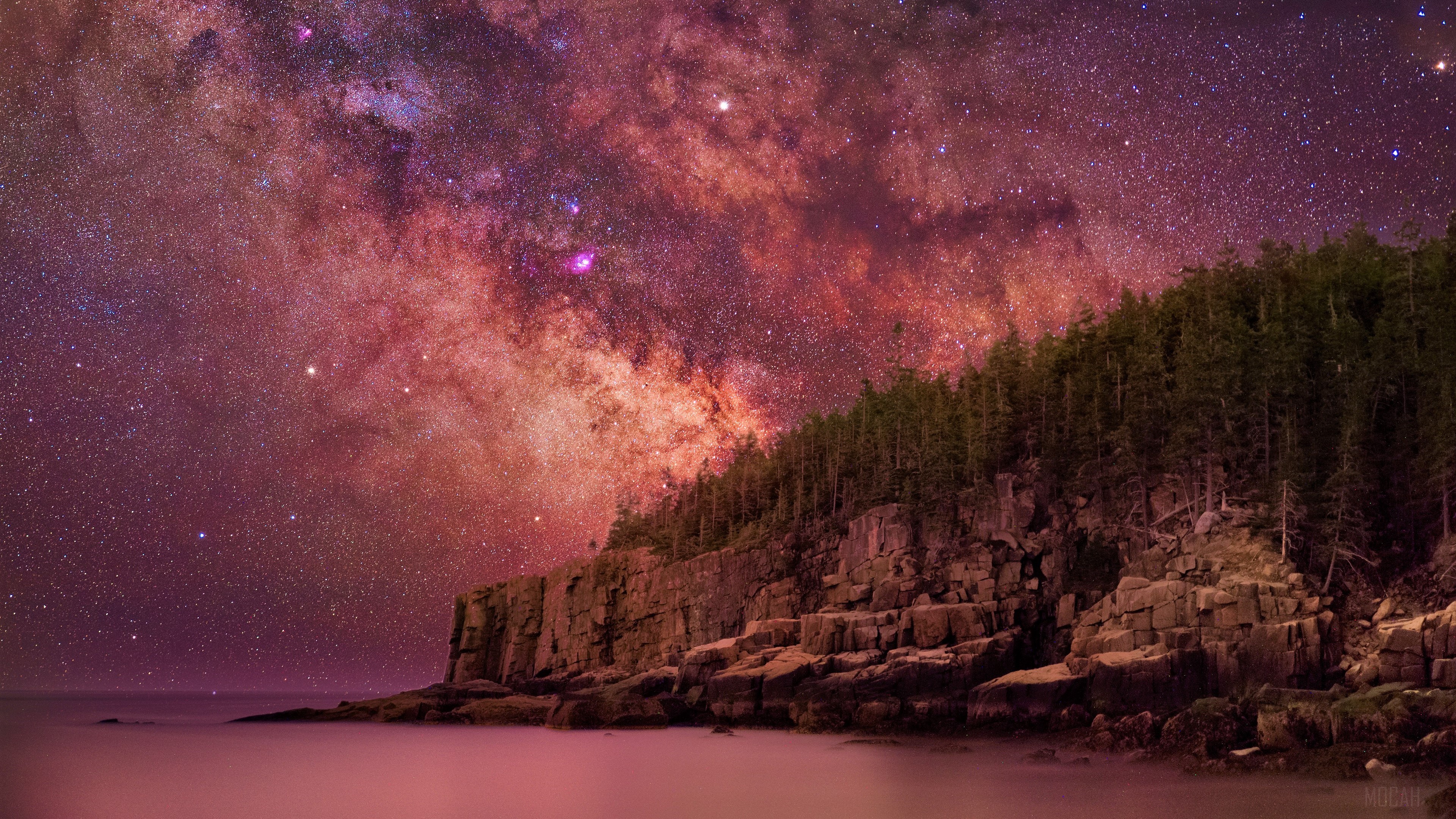 Rocky Cliffside Forest Under a Starry Night Sky HD Wallpaper