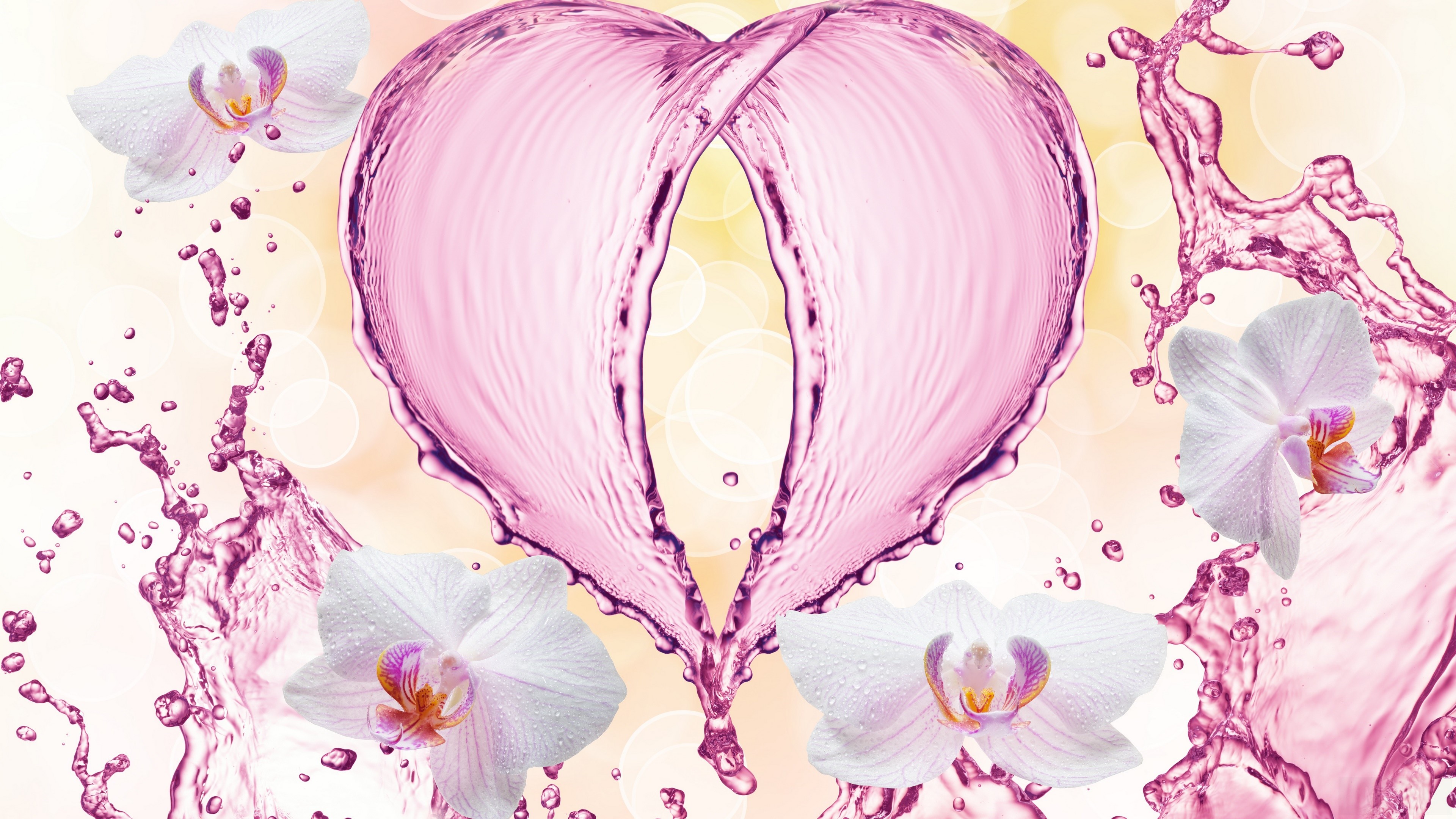 Pink Heart Water Splash with Orchids 4K HD Wallpaper