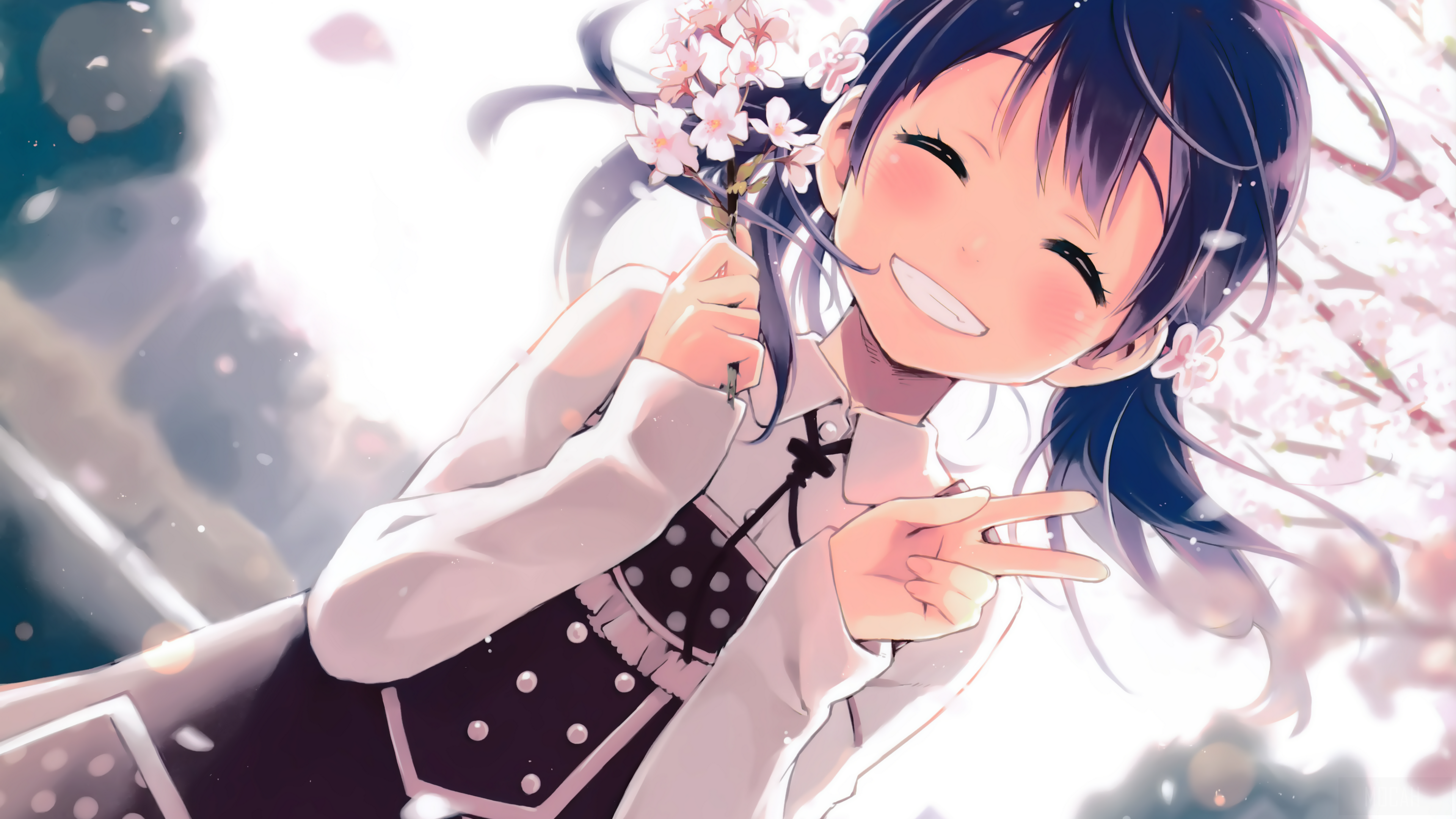 Girl with Cherry Blossoms HD Wallpaper