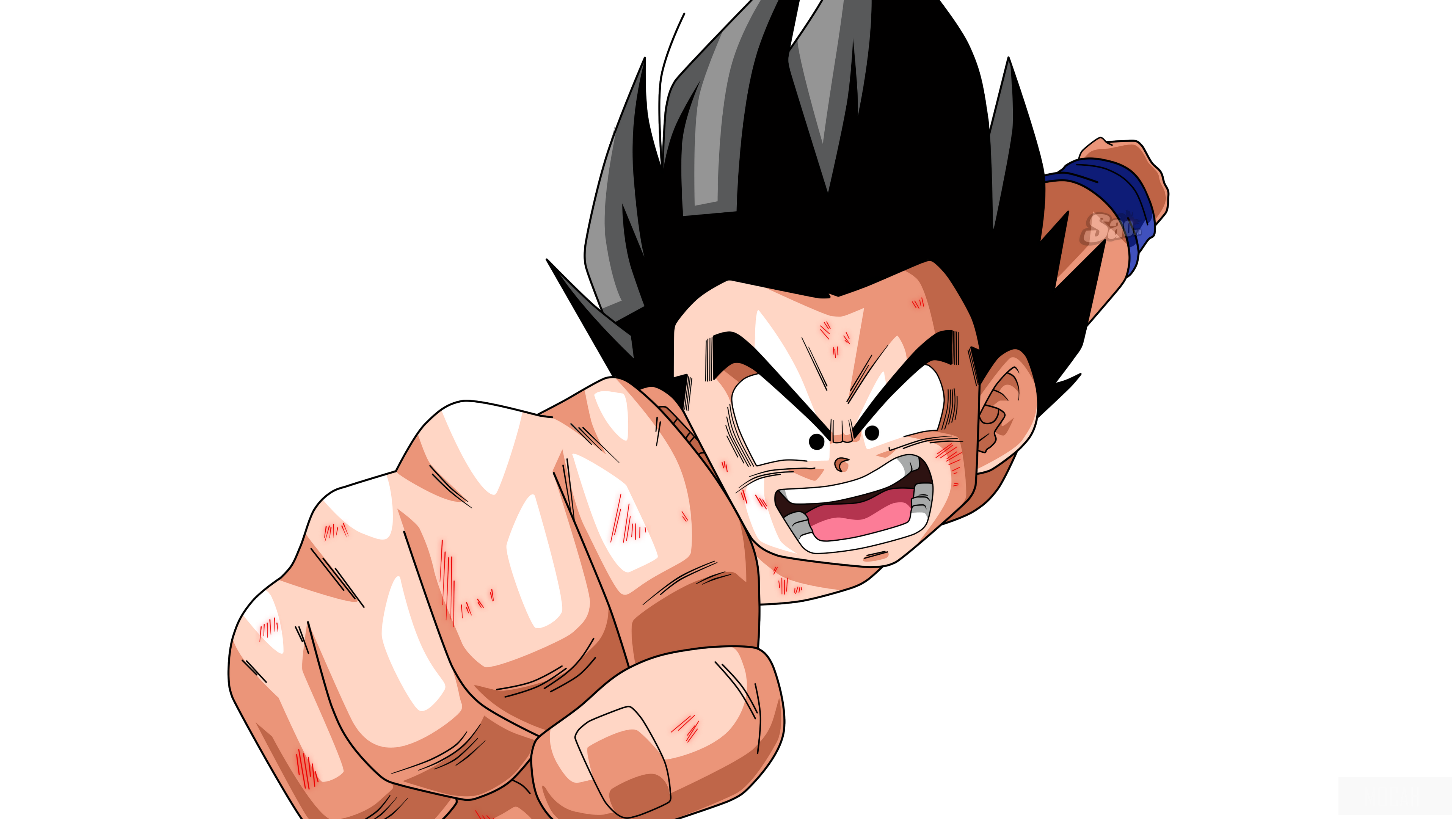 Gohan from Dragon Ball Z punching forward HD Wallpaper