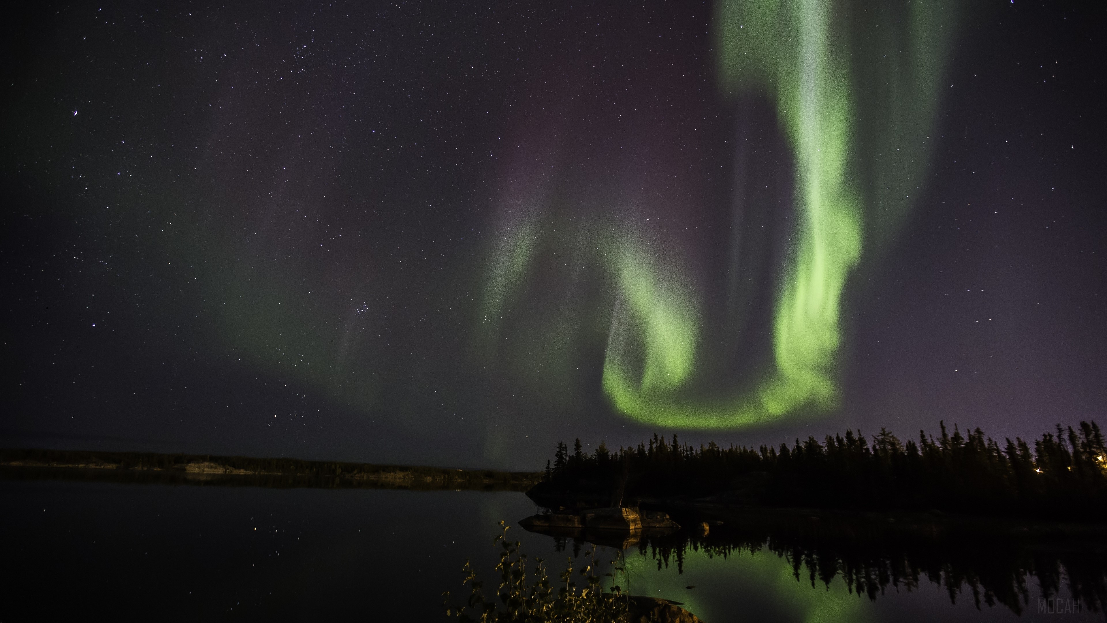 Aurora Borealis over a lake with trees and stars HD Wallpaper
