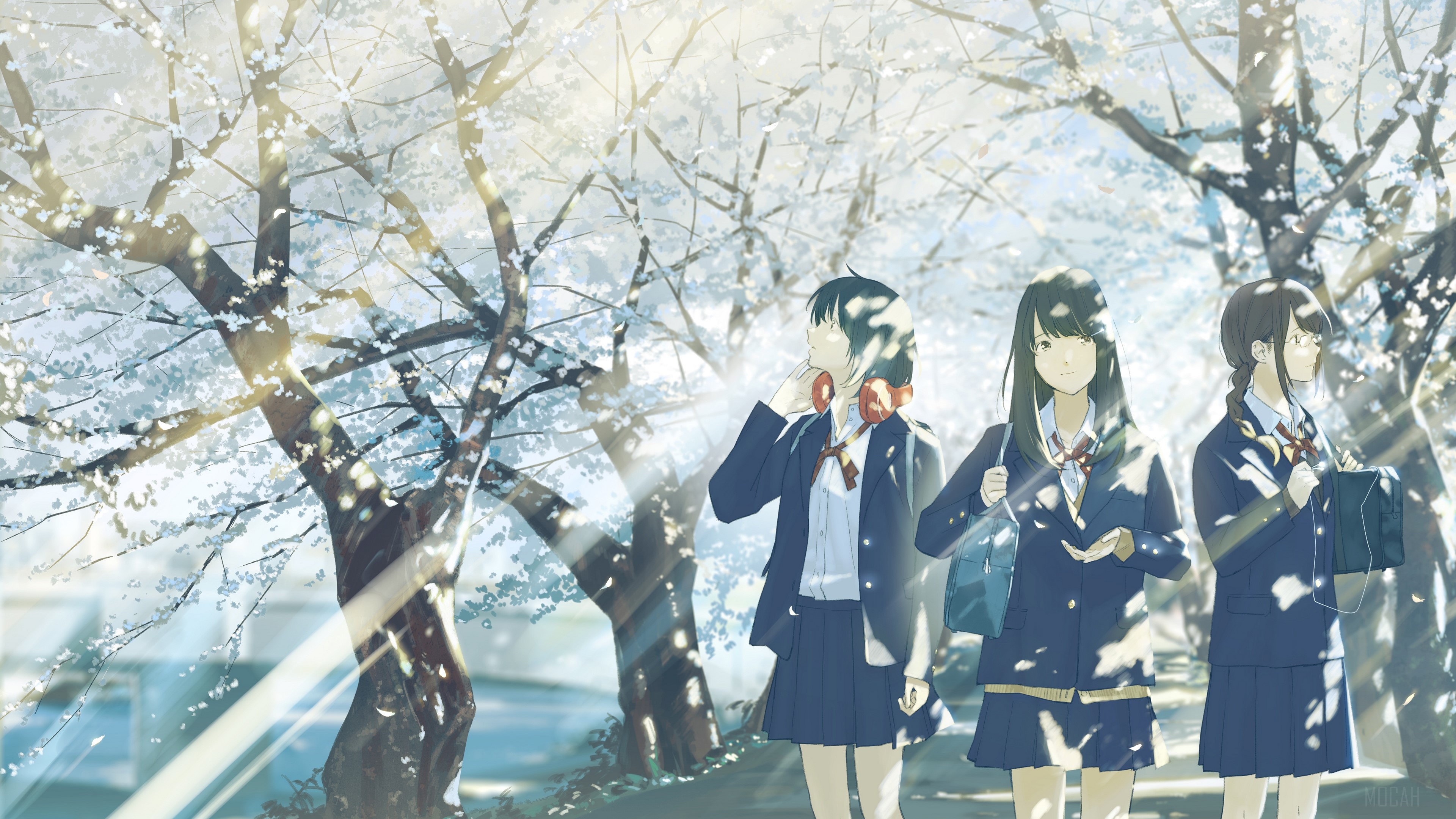 Three schoolgirls walking under cherry blossom trees HD Wallpaper