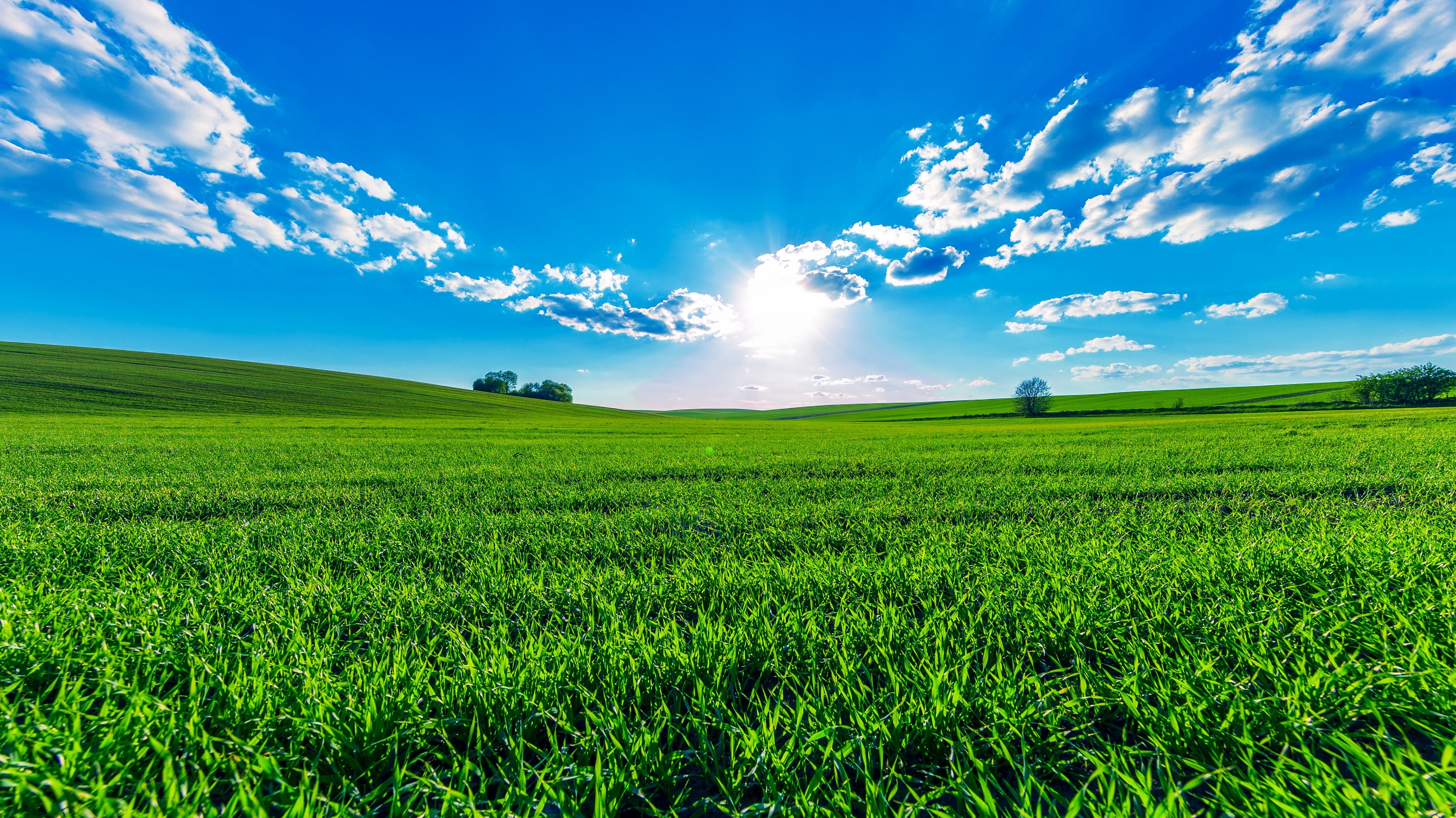 Sunlit Green Field Under Blue Sky 4K HD Wallpaper