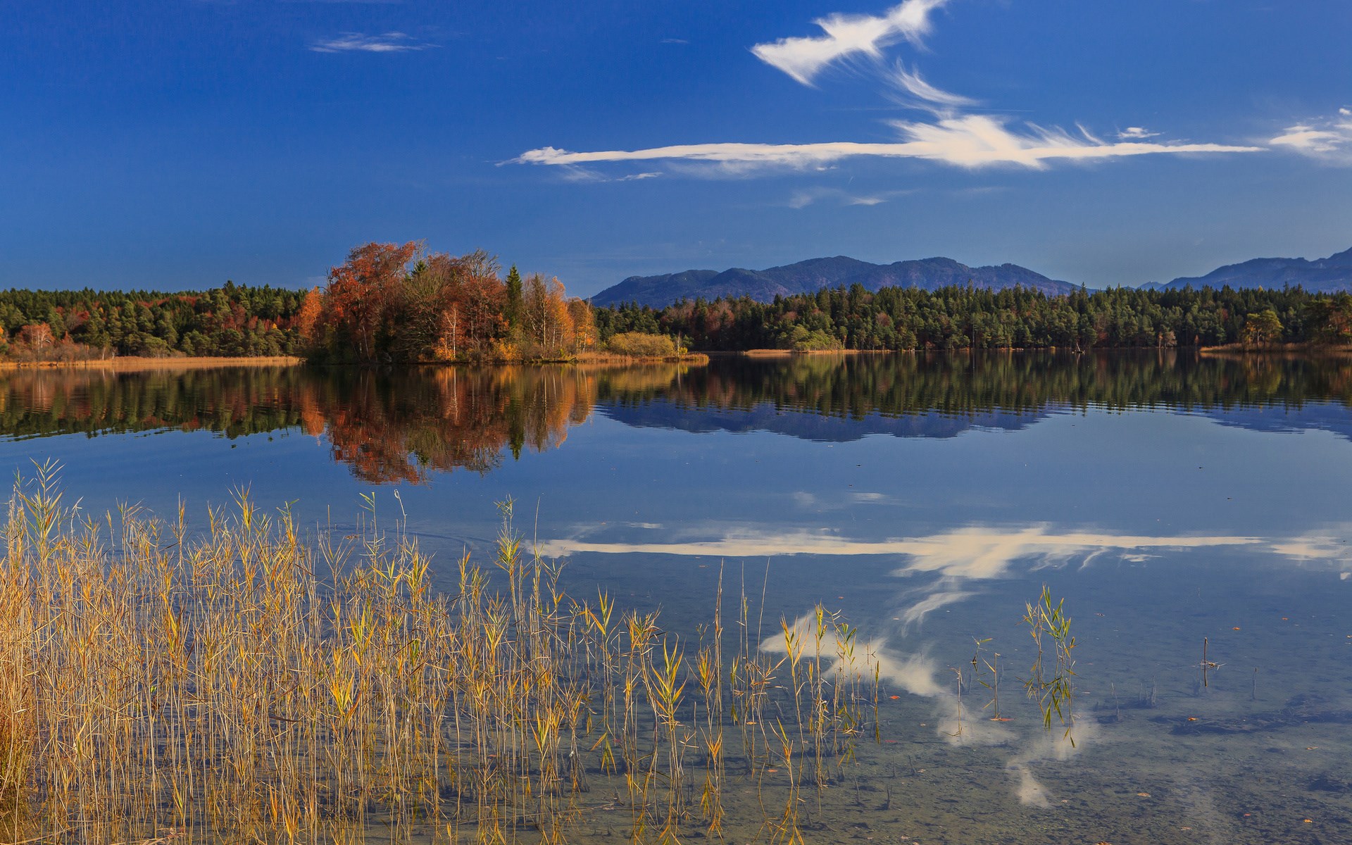 Autumn lake reflection with mountains and reeds HD Wallpaper